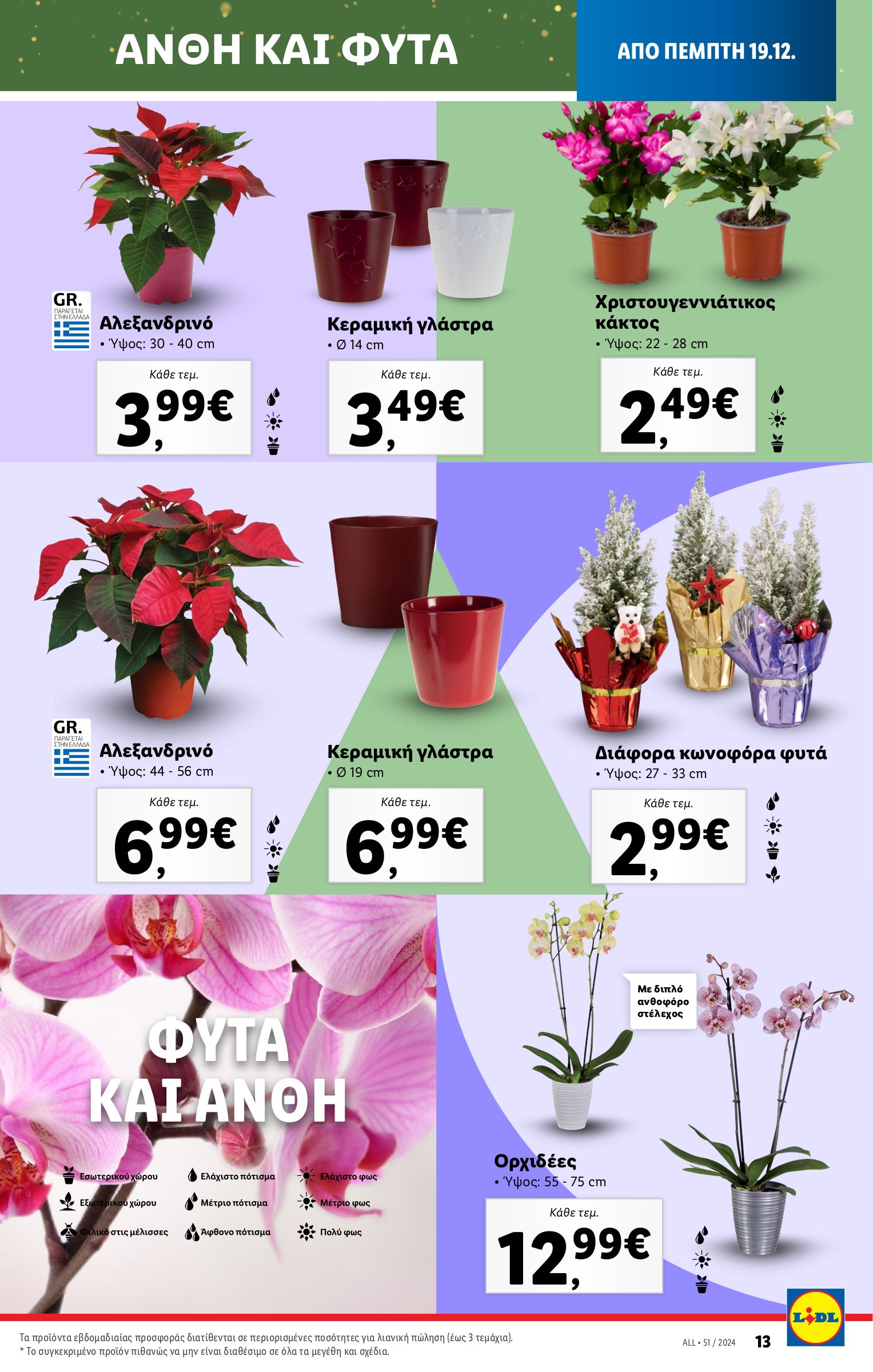 lidl - Lidl φυλλάδιο έγκυρο από 19/12 - 24/12 - page: 45