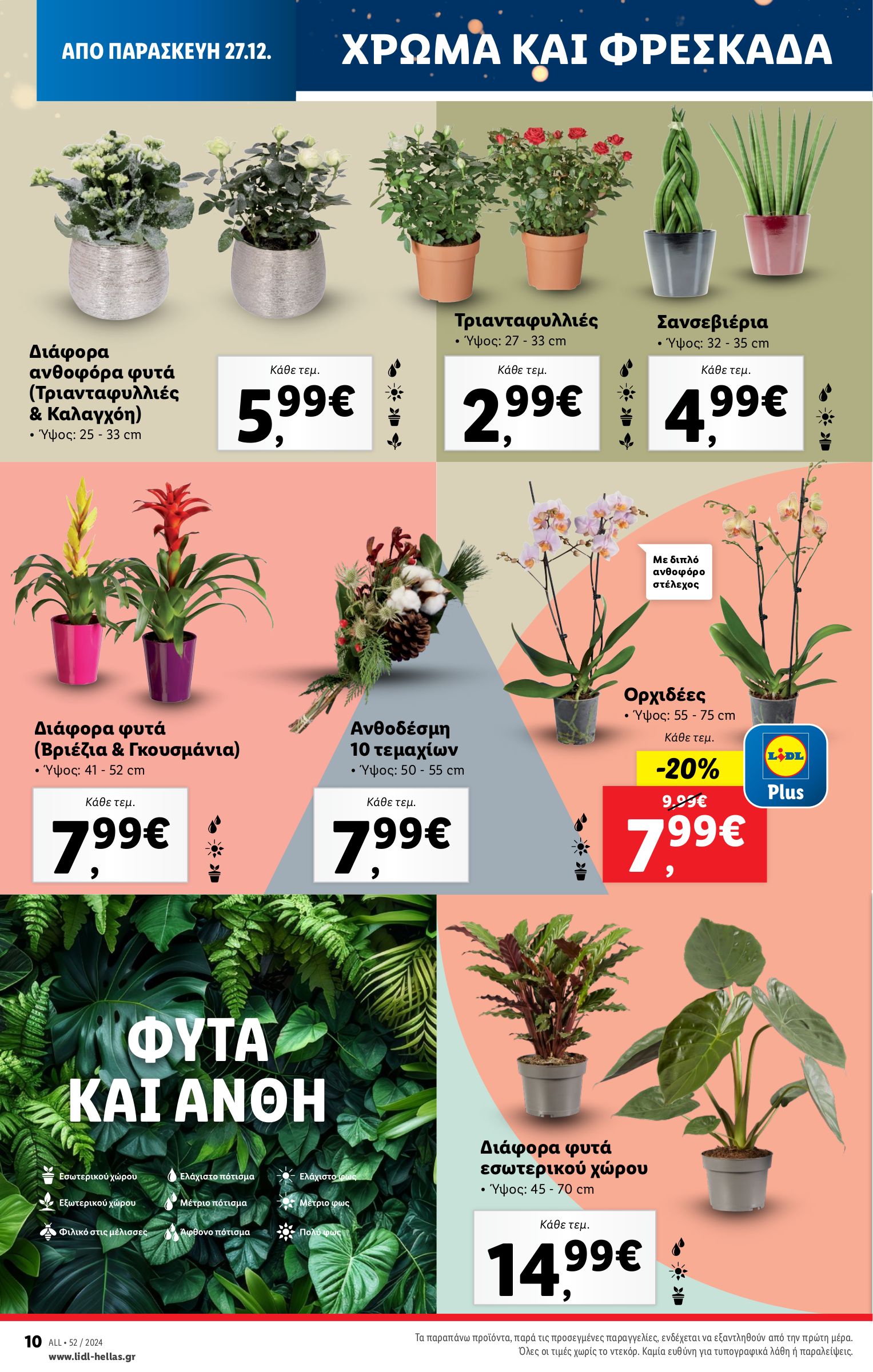 lidl - Lidl φυλλάδιο έγκυρο από 27/12 - 31/12 - page: 43