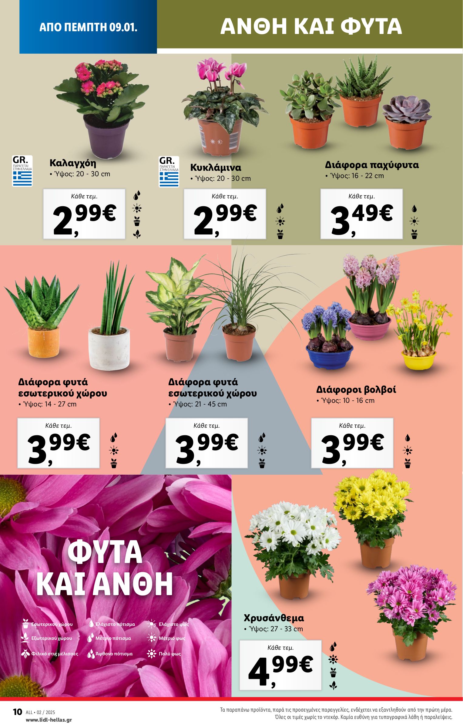 lidl - Lidl φυλλάδιο έγκυρο από 09/01 - 15/01 - page: 38