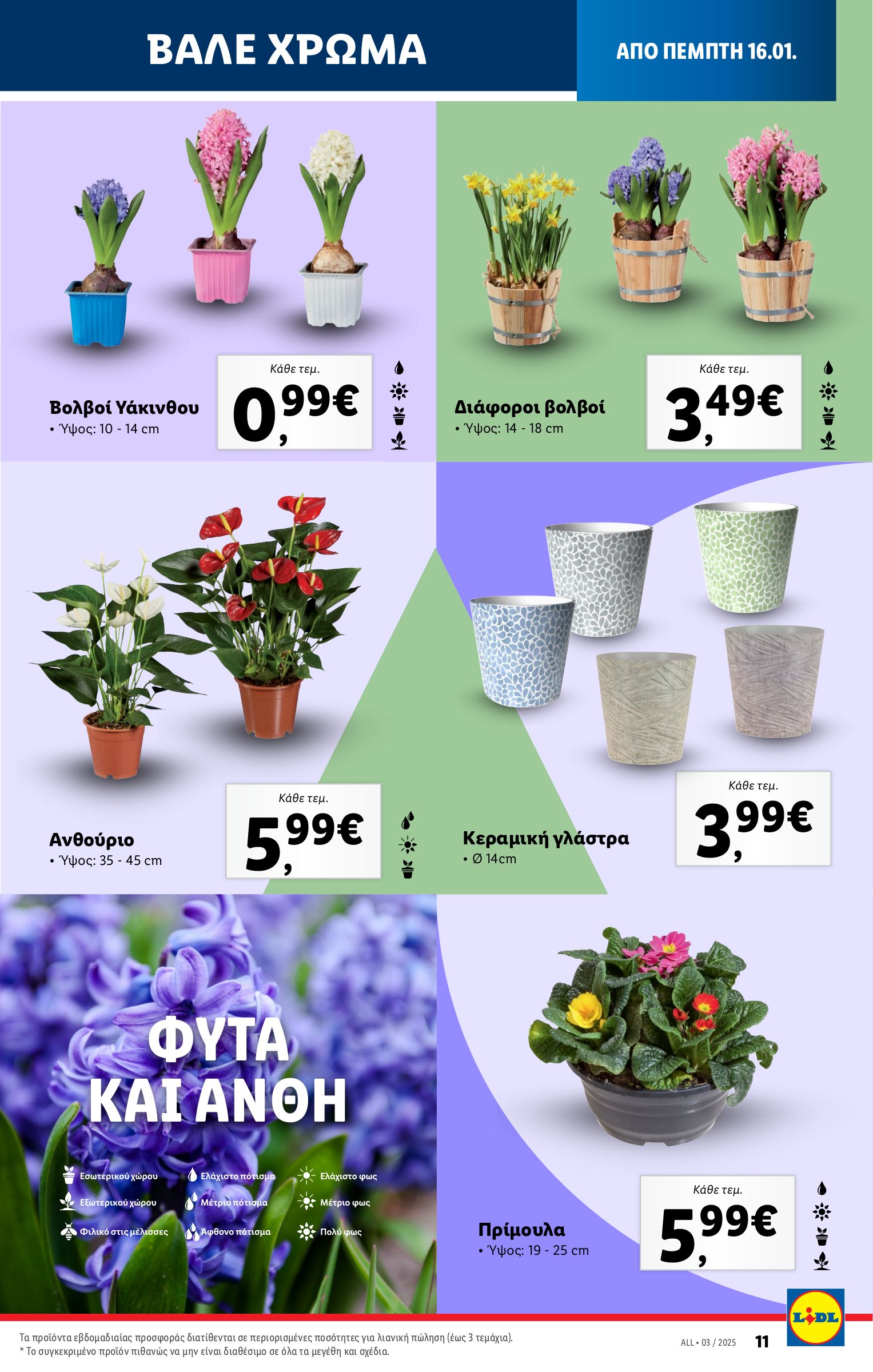 lidl - Lidl φυλλάδιο έγκυρο από 16/01 - 22/01 - page: 39