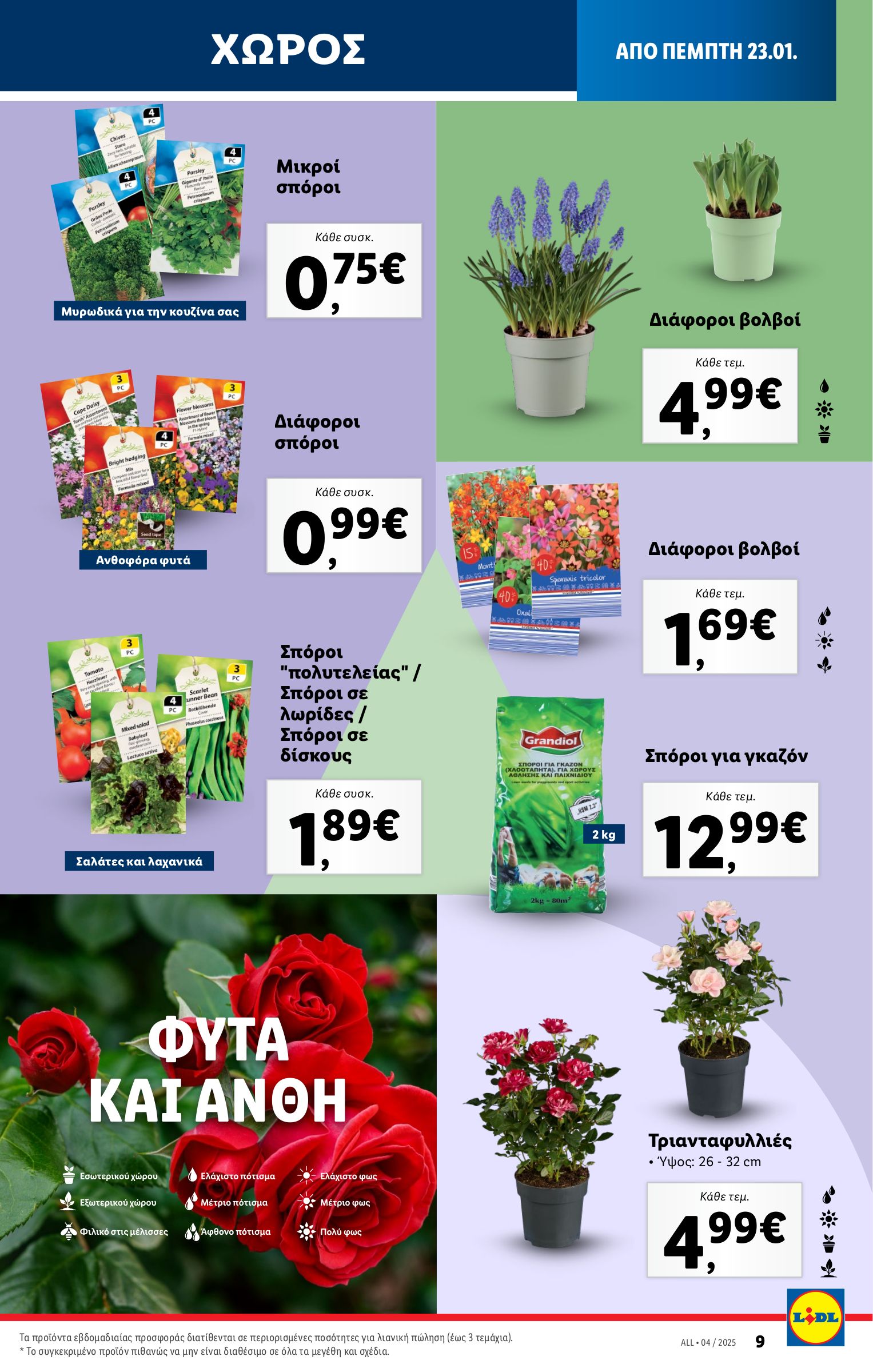 lidl - Lidl φυλλάδιο έγκυρο από 23/01 - 29/01 - page: 39