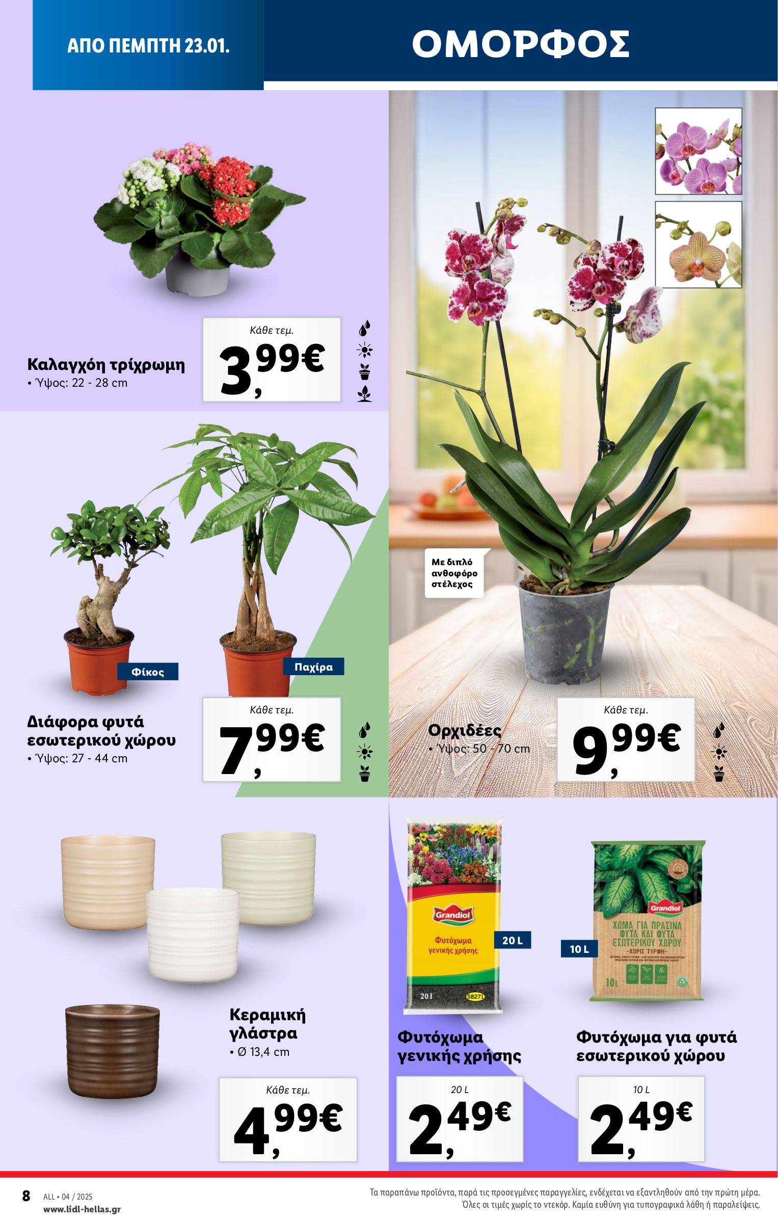 lidl - Lidl φυλλάδιο έγκυρο από 23/01 - 29/01 - page: 38