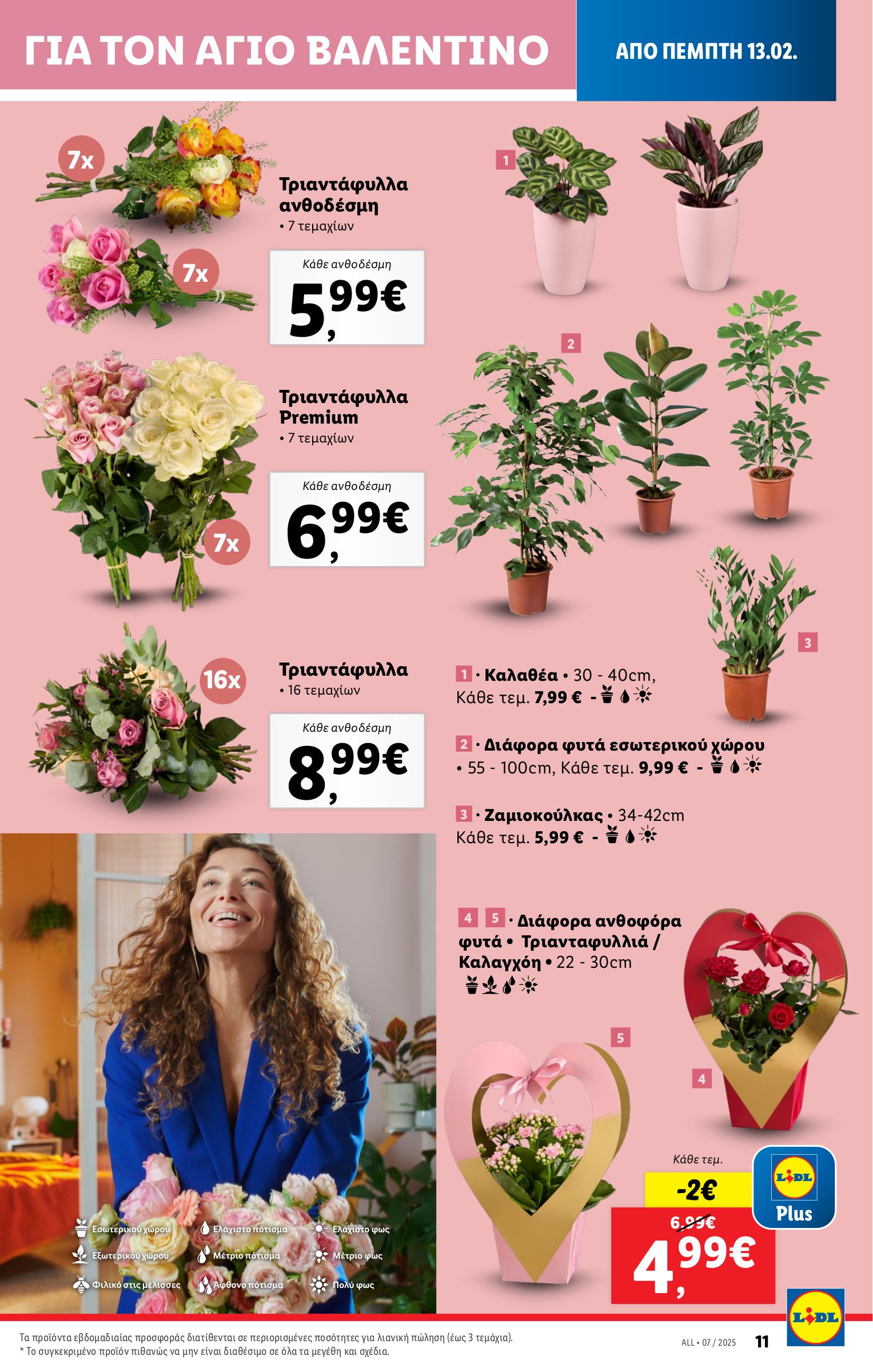 lidl - Lidl φυλλάδιο έγκυρο από 13/02 - 20/02 - page: 43