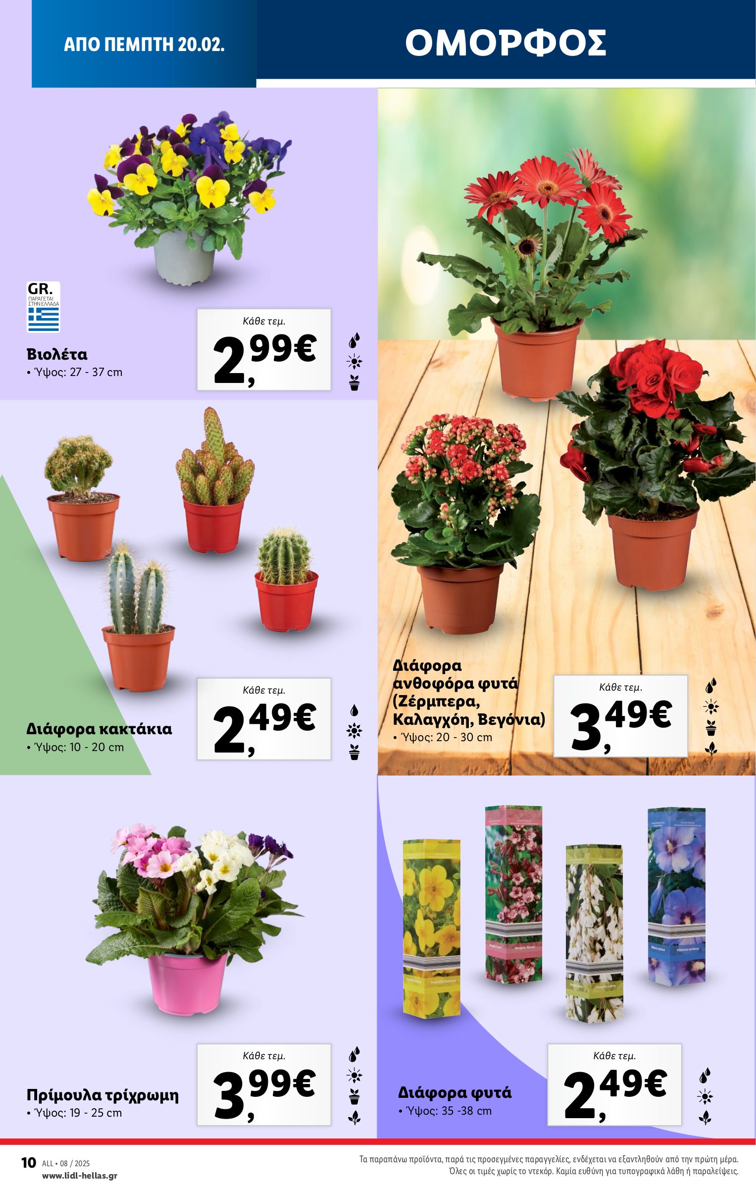 lidl - Lidl φυλλάδιο έγκυρο από 20/02 - 26/02 - page: 64