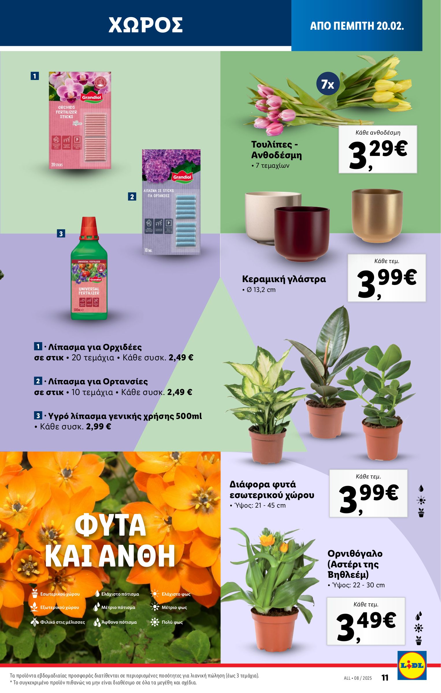 lidl - Lidl φυλλάδιο έγκυρο από 20/02 - 26/02 - page: 65