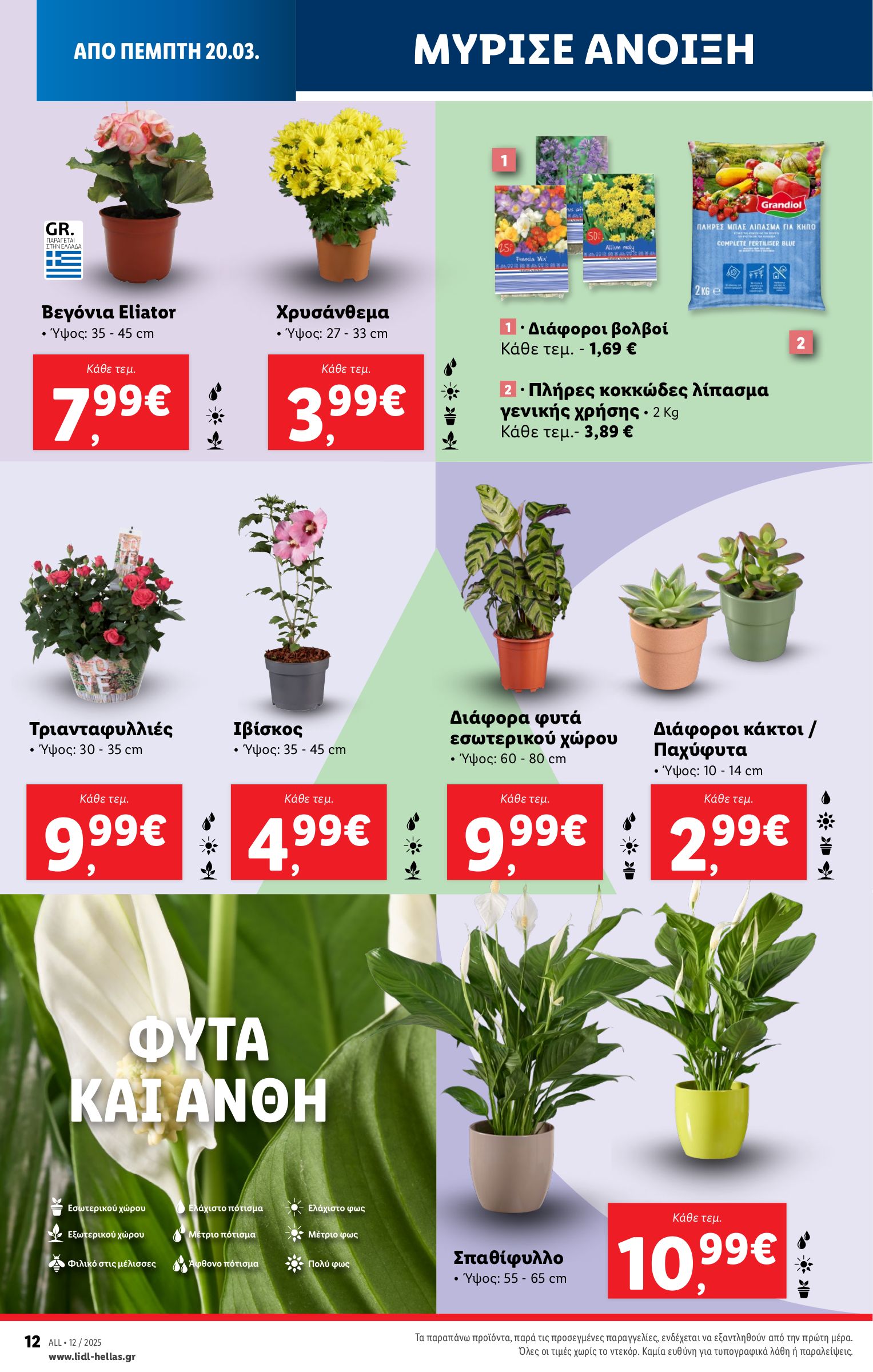 lidl - Lidl φυλλάδιο έγκυρο από 20/03 - 26/03 - page: 70