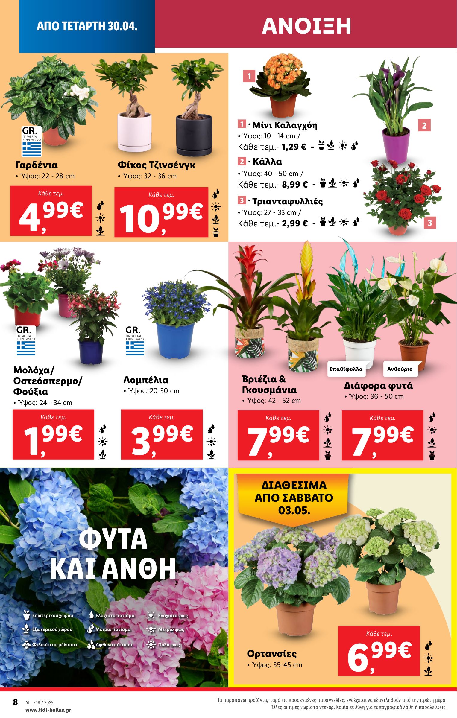 lidl - Lidl φυλλάδιο έγκυρο από 30/04 - 07/05 - page: 36 lidl - Lidl φυλλάδιο έγκυρο από 30/04 - 07/05 - page: 36