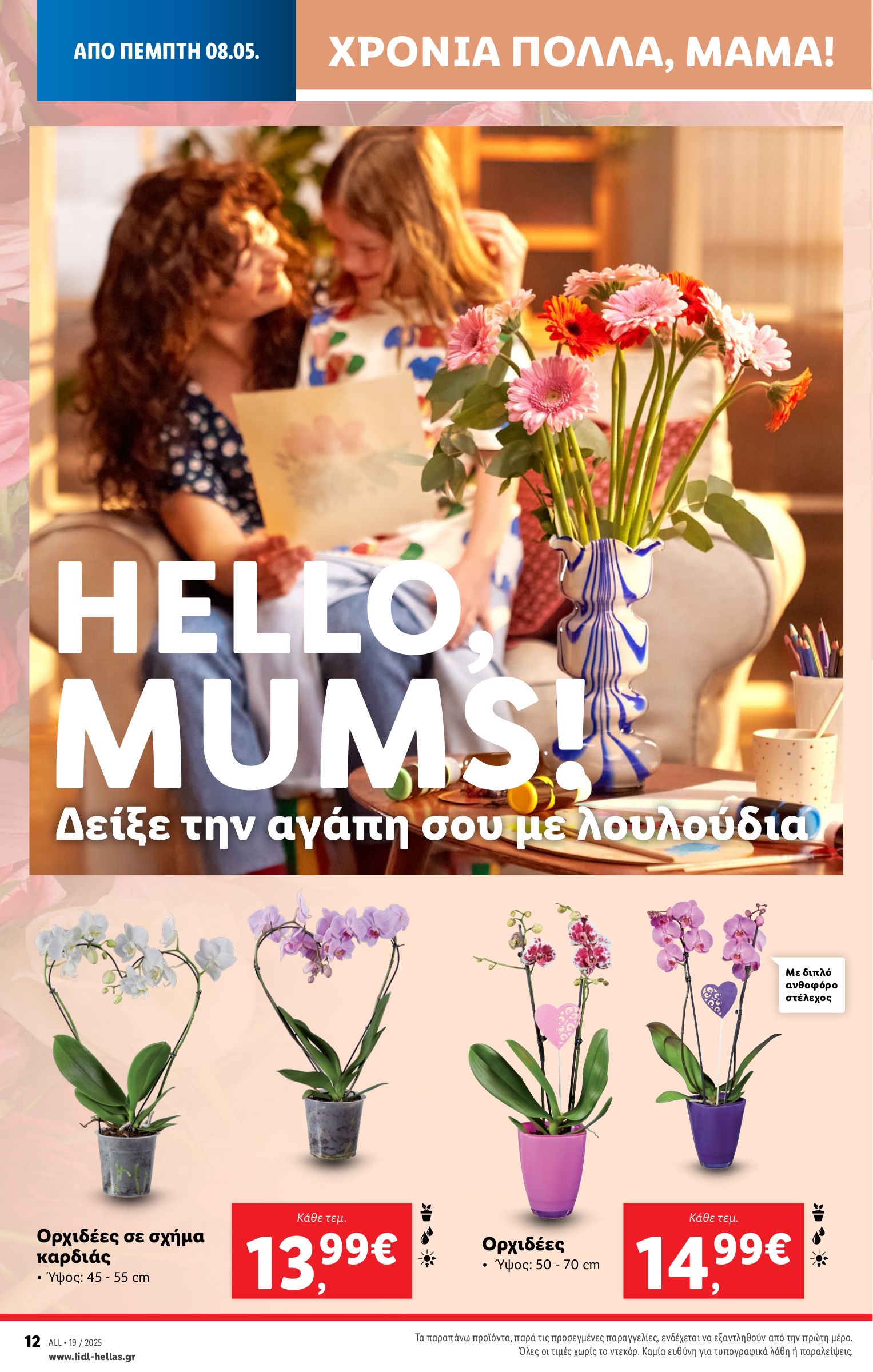 lidl - Lidl φυλλάδιο έγκυρο από 08/05 - 14/05 - page: 42 lidl - Lidl φυλλάδιο έγκυρο από 08/05 - 14/05 - page: 42