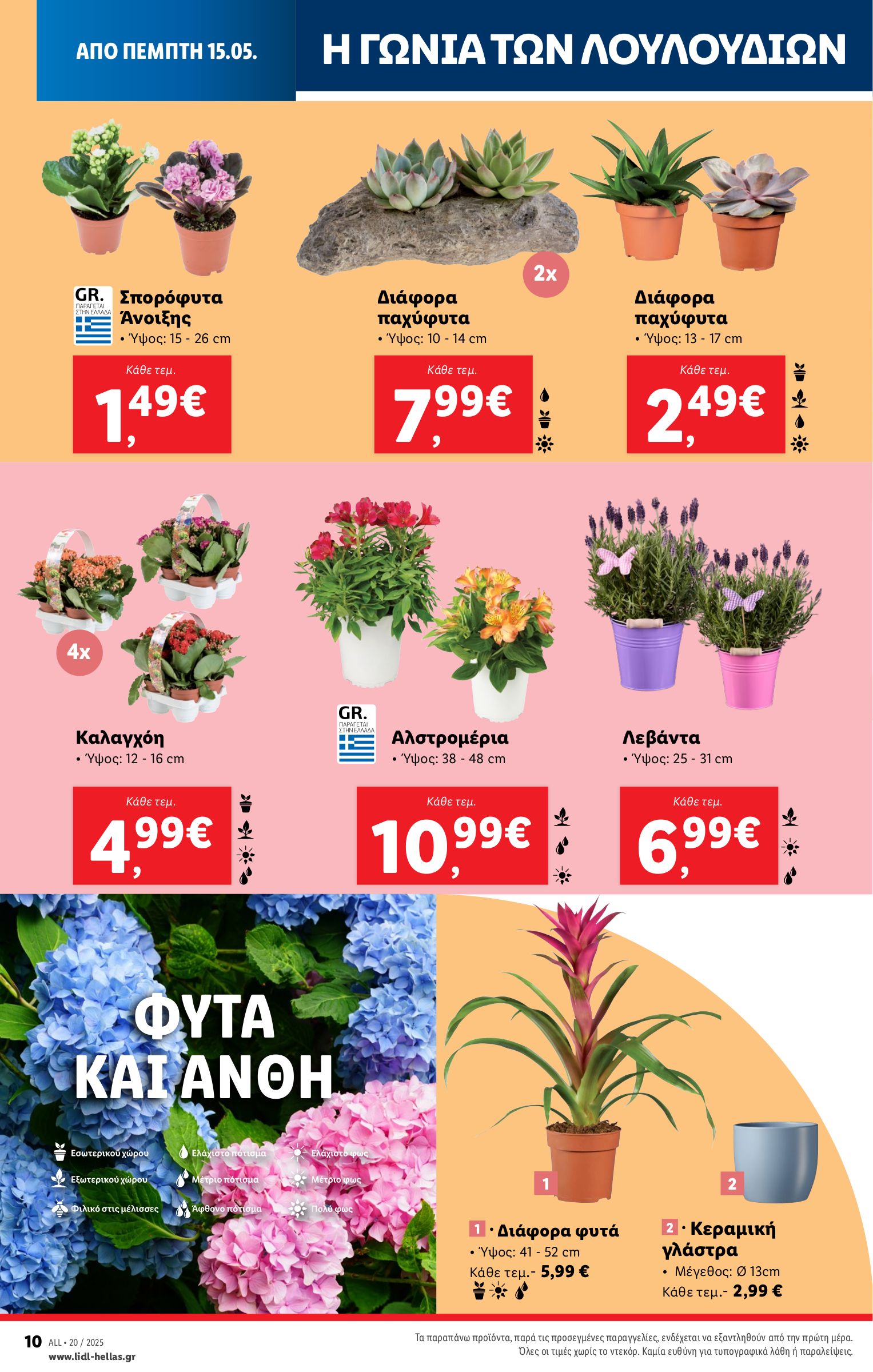 lidl - Lidl φυλλάδιο έγκυρο από 15/05 - 21/05 - page: 40 lidl - Lidl φυλλάδιο έγκυρο από 15/05 - 21/05 - page: 40