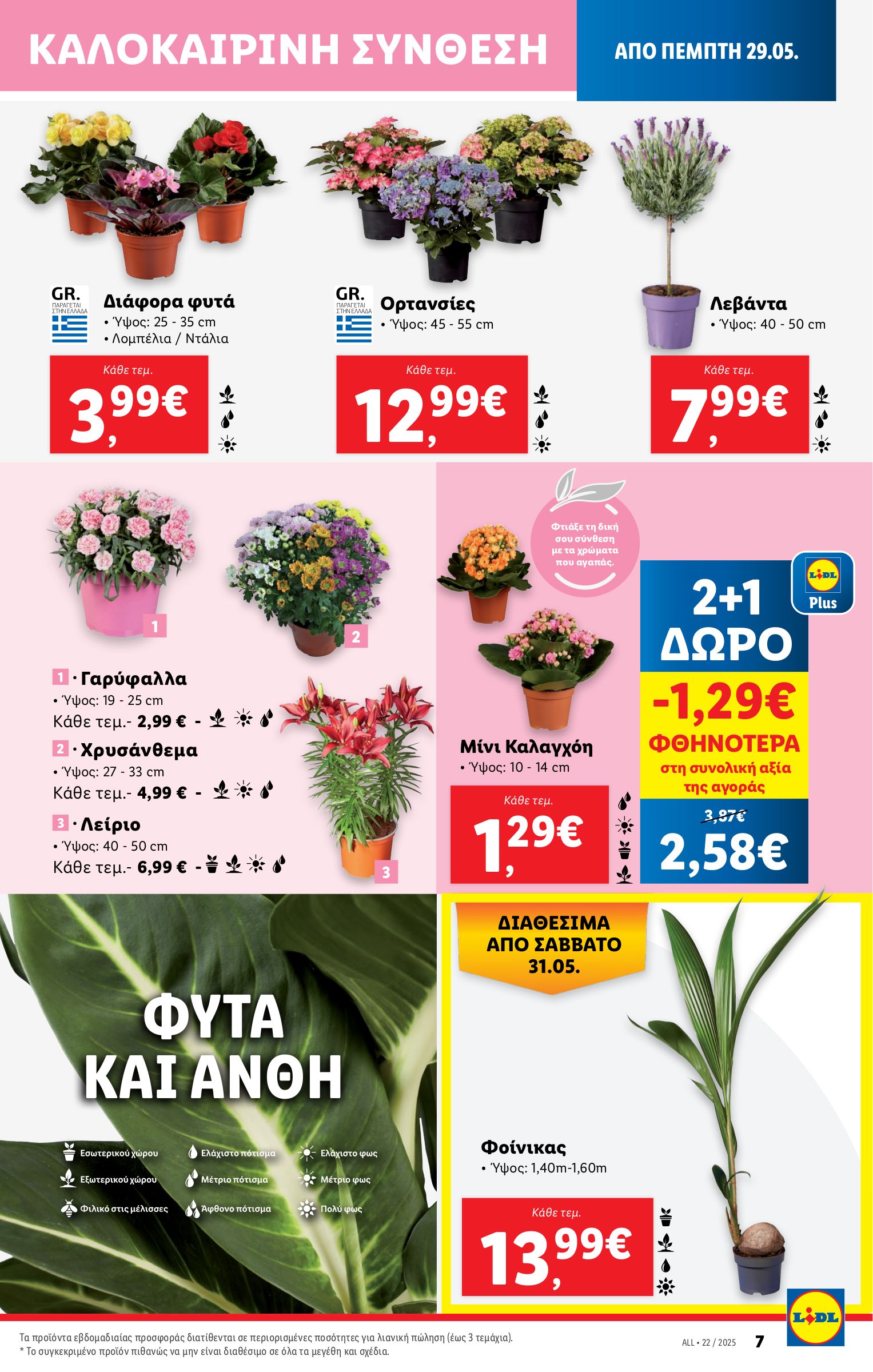 lidl - Lidl φυλλάδιο έγκυρο από 29/05 - 04/06 - page: 39 lidl - Lidl φυλλάδιο έγκυρο από 29/05 - 04/06 - page: 39