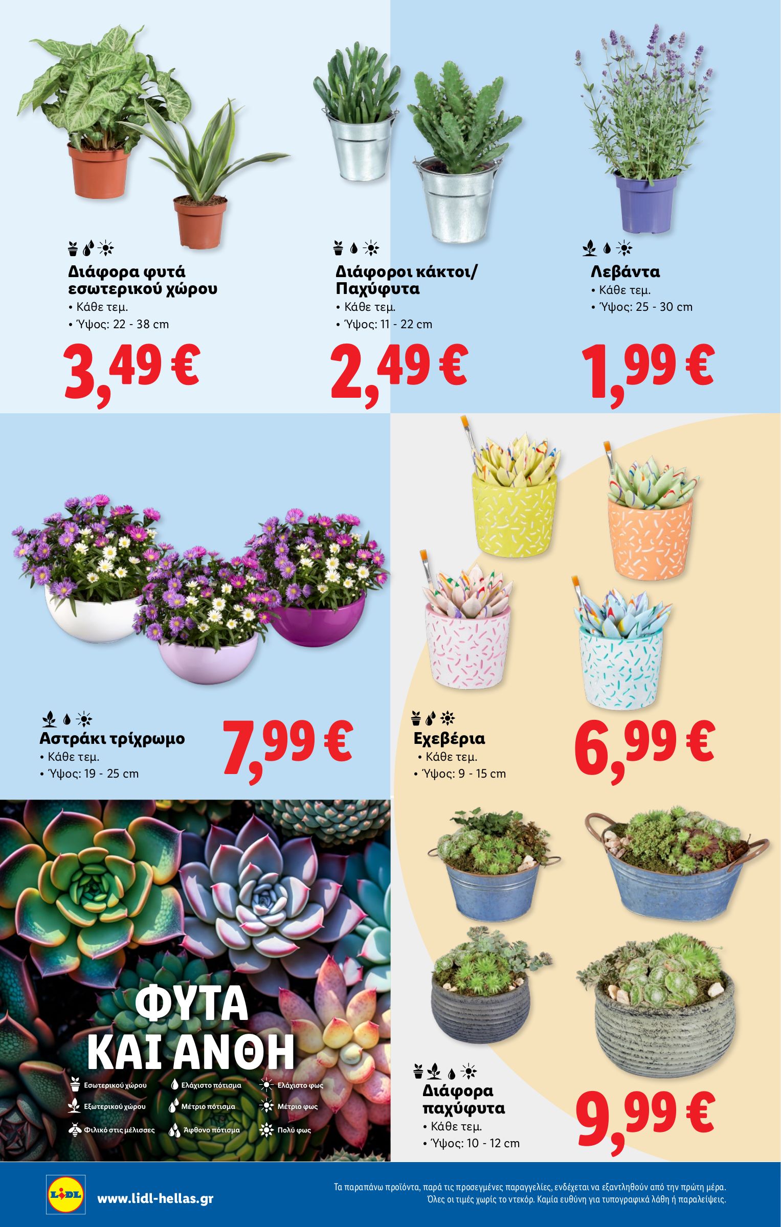 lidl - Lidl φυλλάδιο έγκυρο από 10/07 - 16/07 - page: 38