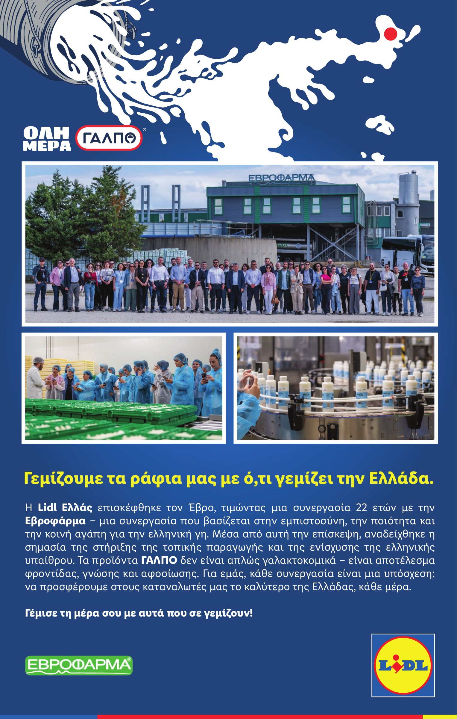 lidl - Lidl φυλλάδιο έγκυρο από 10/07 - 16/07 - page: 29