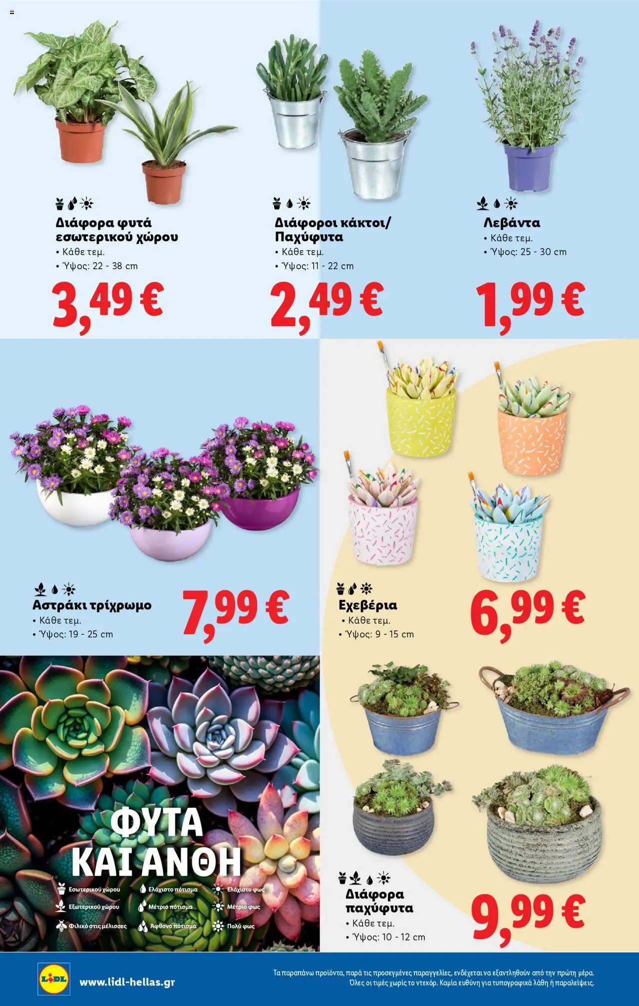 lidl - Lidl - Φυλλάδιο - Food & Nonfood 10/07/2025 - 16/07/2025 - page: 38