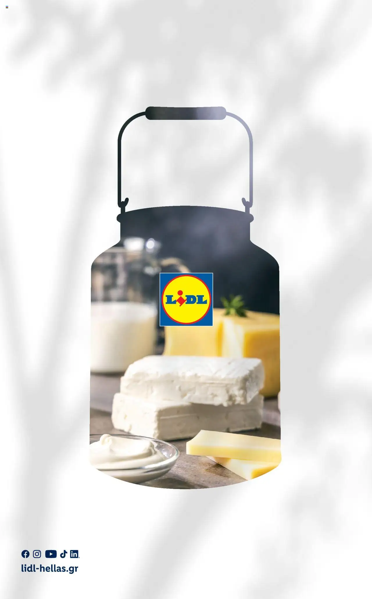 lidl - Lidl - Φυλλάδιο ΓΑΛΠΟ Γαλακτοκομικά Από τη Δευτέρα 17/03/2025 - page: 24