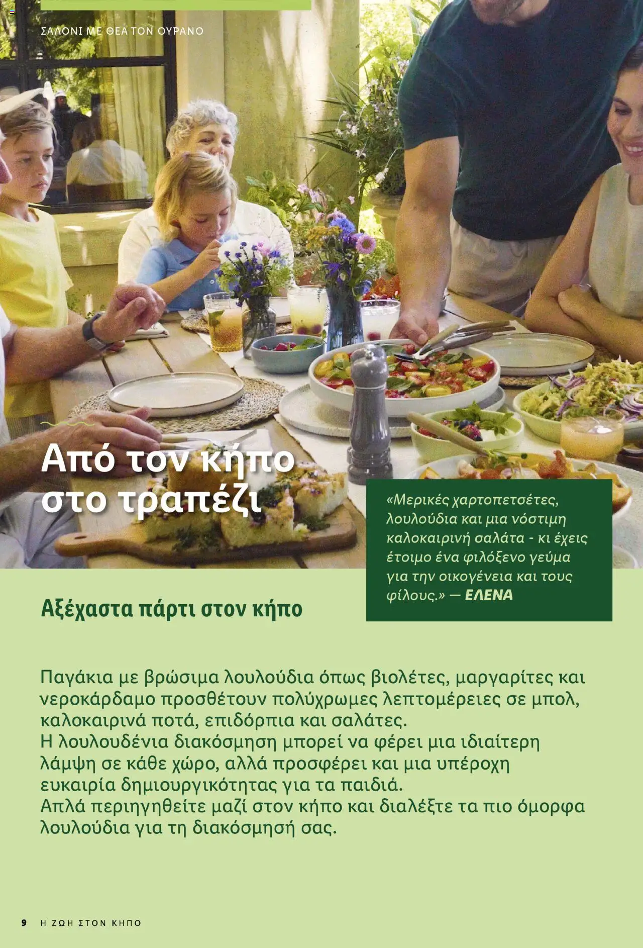 lidl - Lidl - Garden Booklet Από την Παρασκευή 21/03/2025 - page: 9