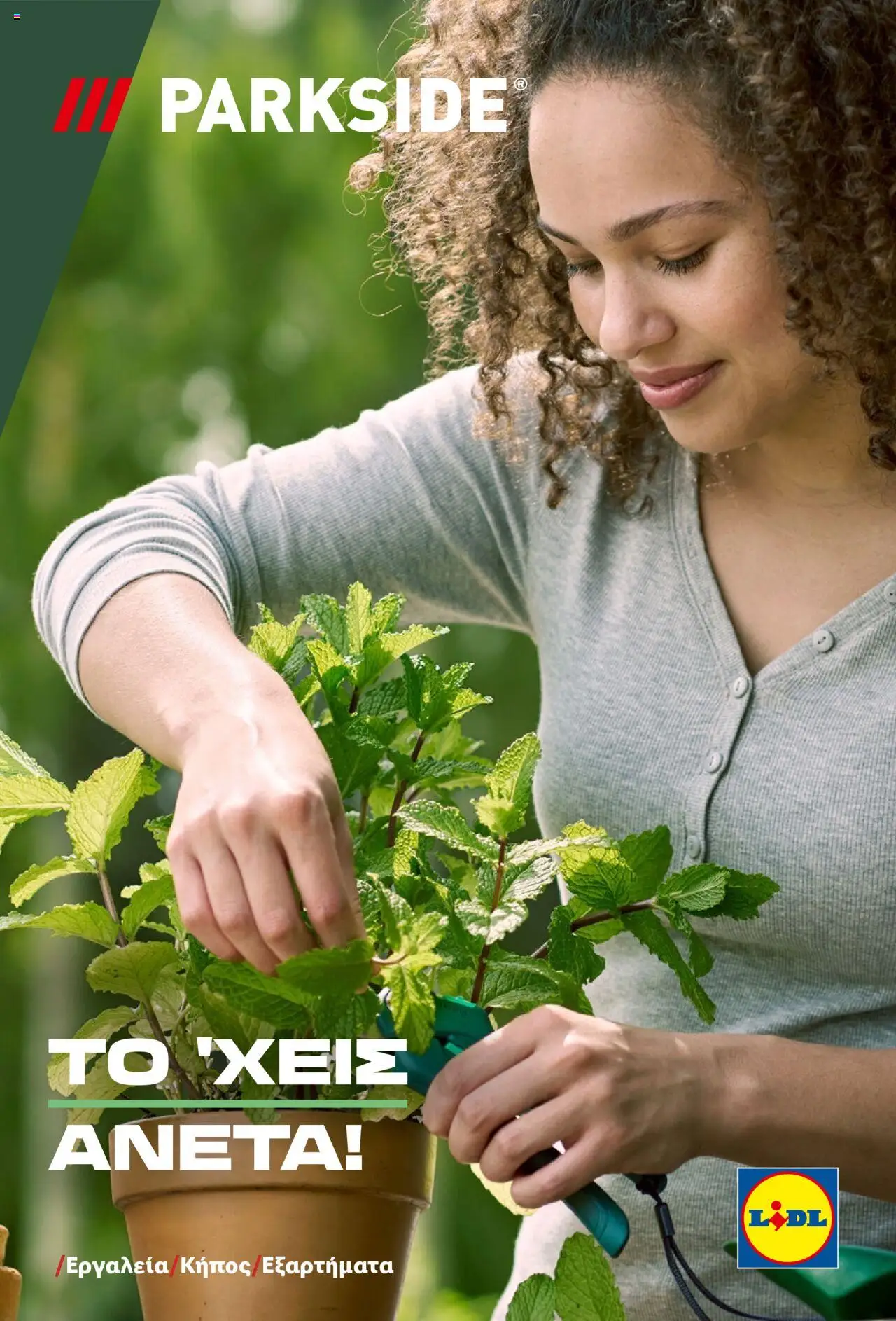 lidl - Lidl - Garden Booklet Από την Παρασκευή 21/03/2025 - page: 19