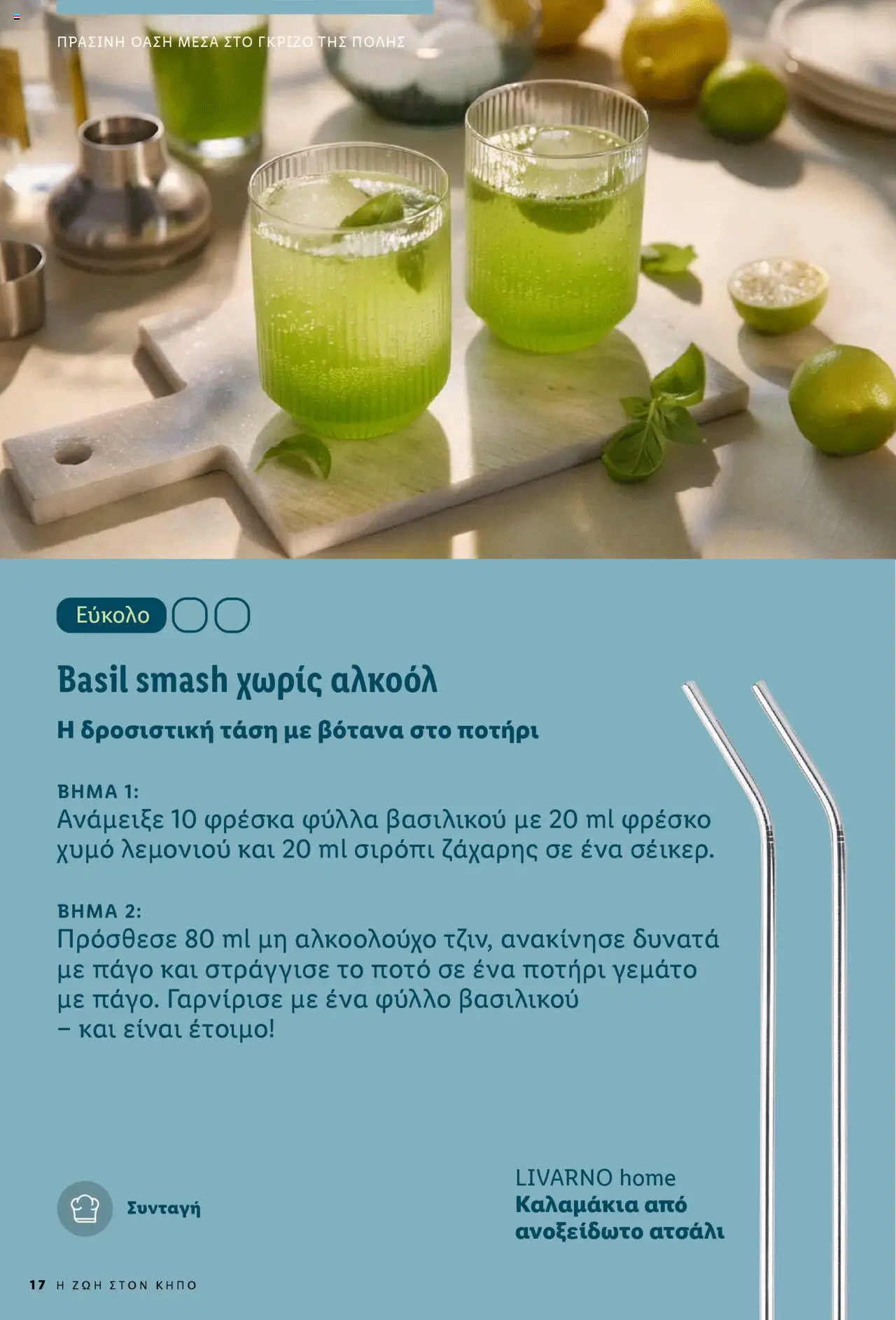 lidl - Lidl - Garden Booklet Από την Παρασκευή 21/03/2025 - page: 17