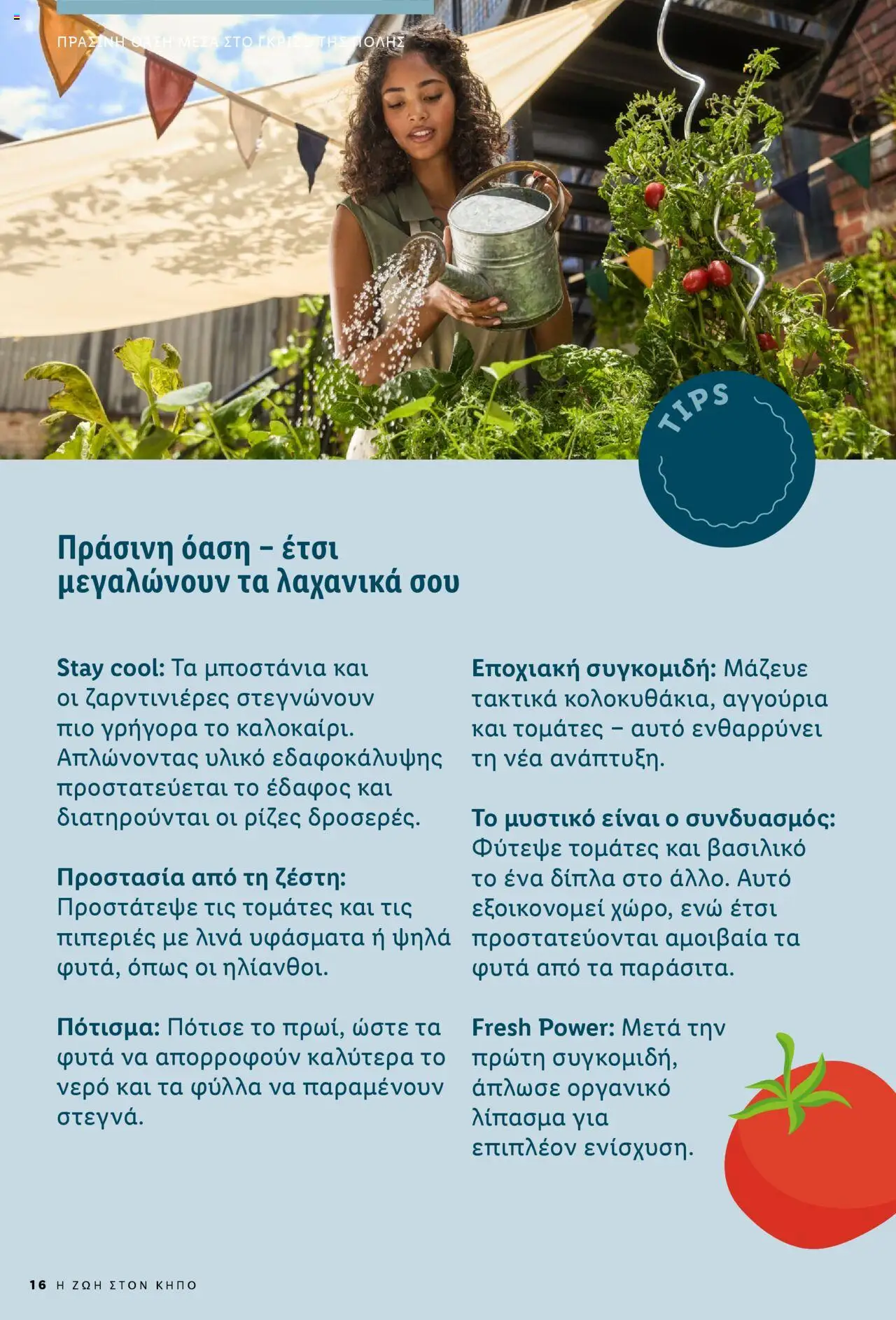 lidl - Lidl - Garden Booklet Από την Παρασκευή 21/03/2025 - page: 16
