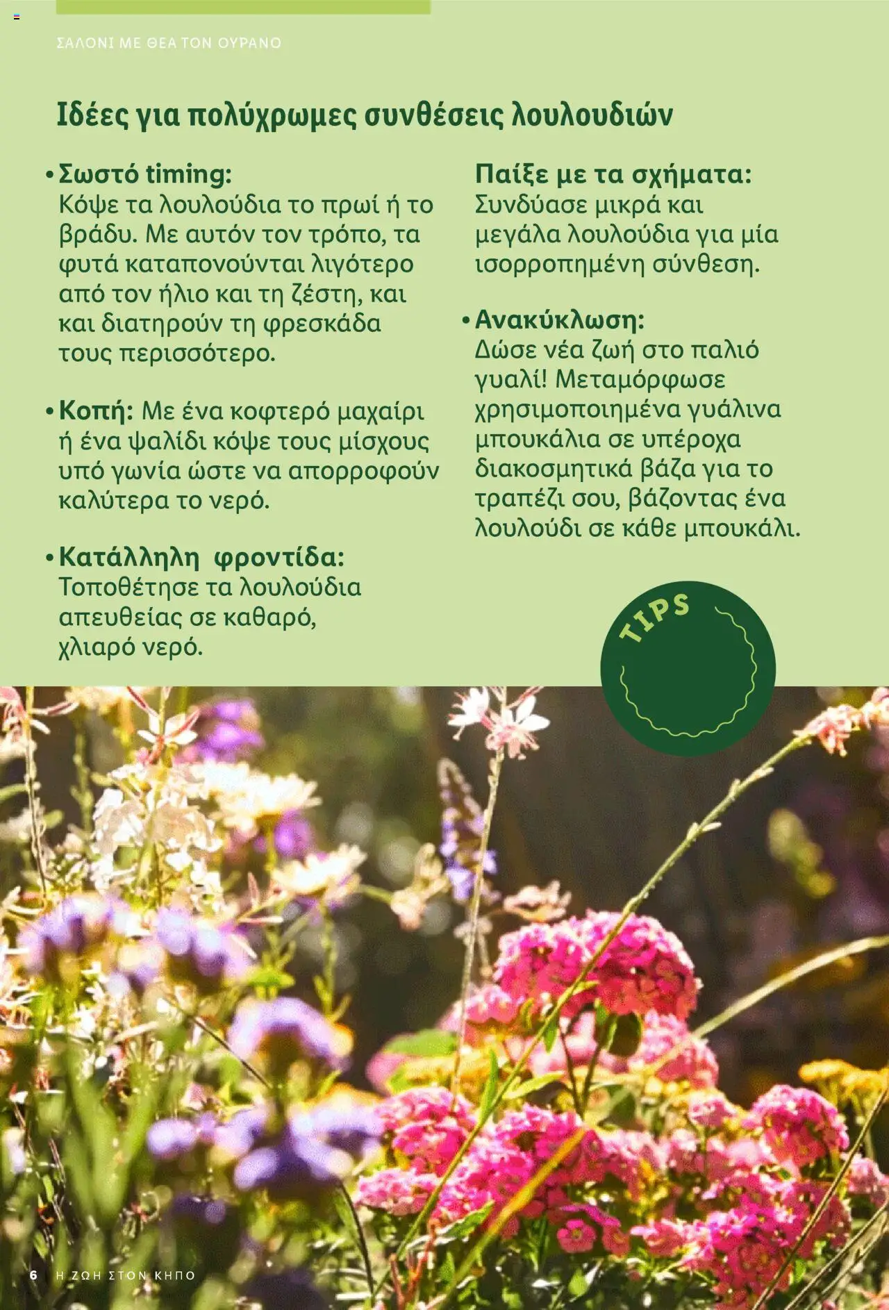 lidl - Lidl - Garden Booklet Από την Παρασκευή 21/03/2025 - page: 6