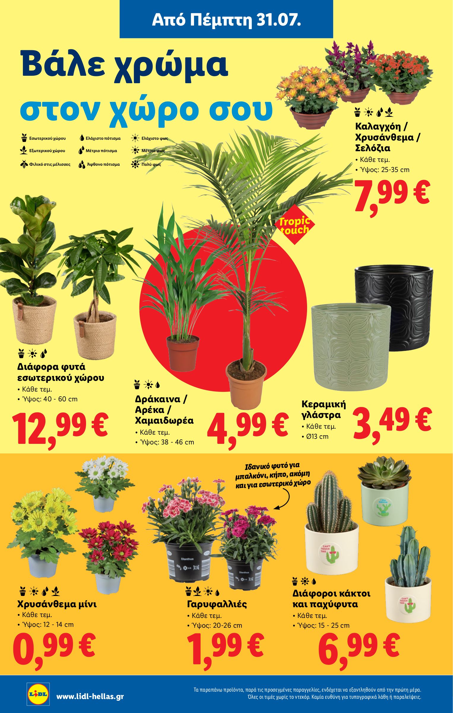 lidl - Lidl φυλλάδιο έγκυρο από 31/07 - 06/08 - page: 36 lidl - Lidl φυλλάδιο έγκυρο από 31/07 - 06/08 - page: 36