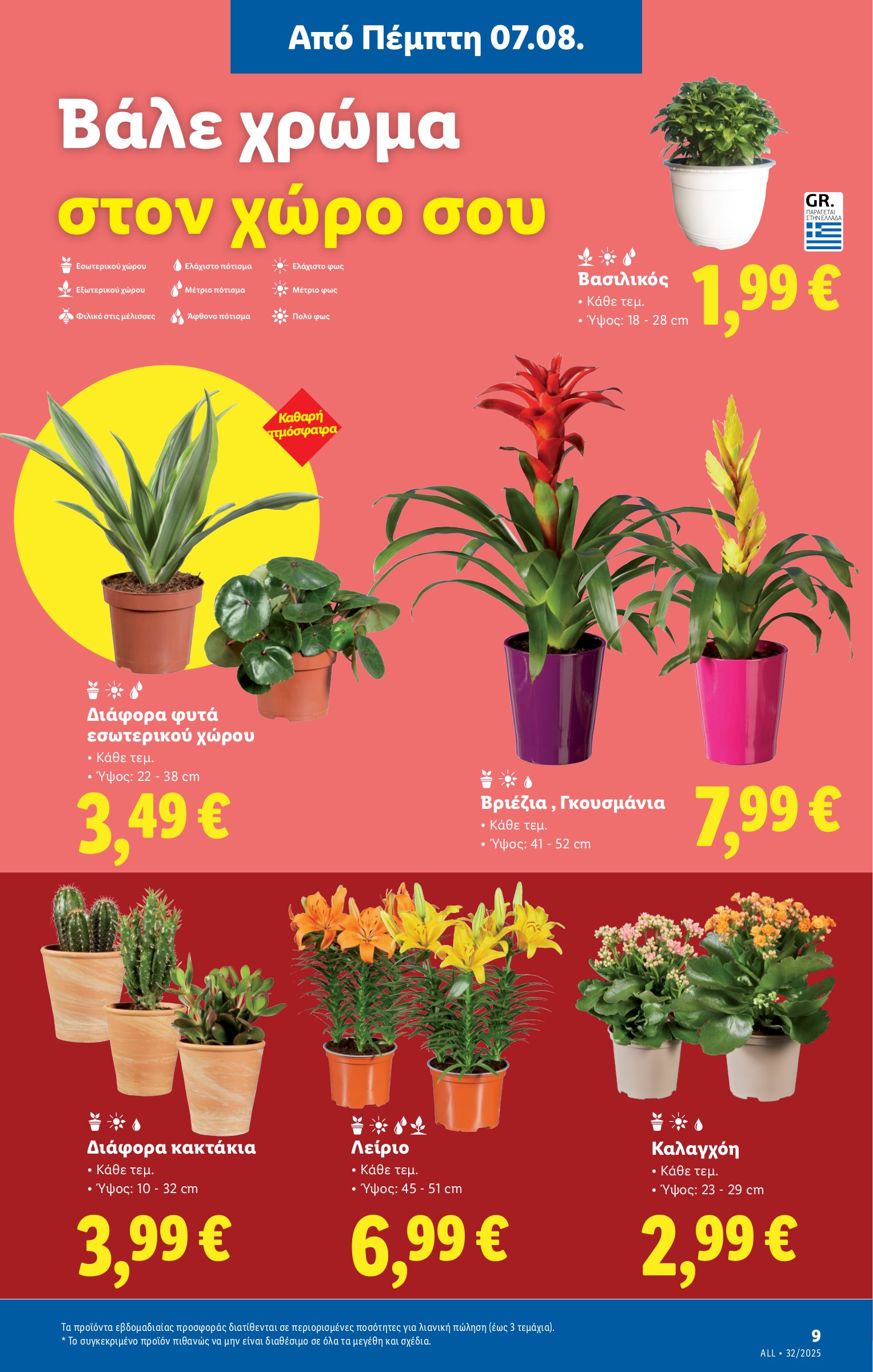 lidl - Lidl φυλλάδιο έγκυρο από 07/08 - 13/08 - page: 35