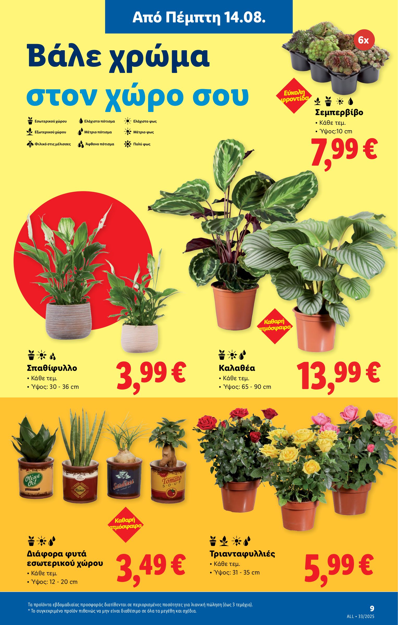 lidl - Lidl φυλλάδιο έγκυρο από 14/08 - 20/08 - page: 37 lidl - Lidl φυλλάδιο έγκυρο από 14/08 - 20/08 - page: 37