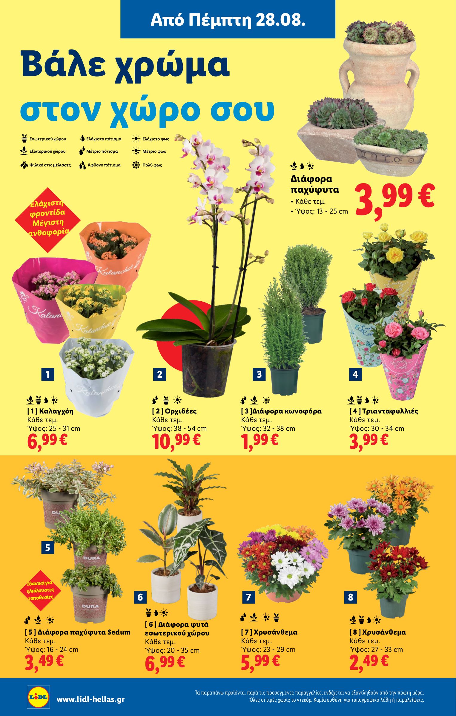 lidl - Lidl φυλλάδιο έγκυρο από 28/08 - 03/09 - page: 40 lidl - Lidl φυλλάδιο έγκυρο από 28/08 - 03/09 - page: 40