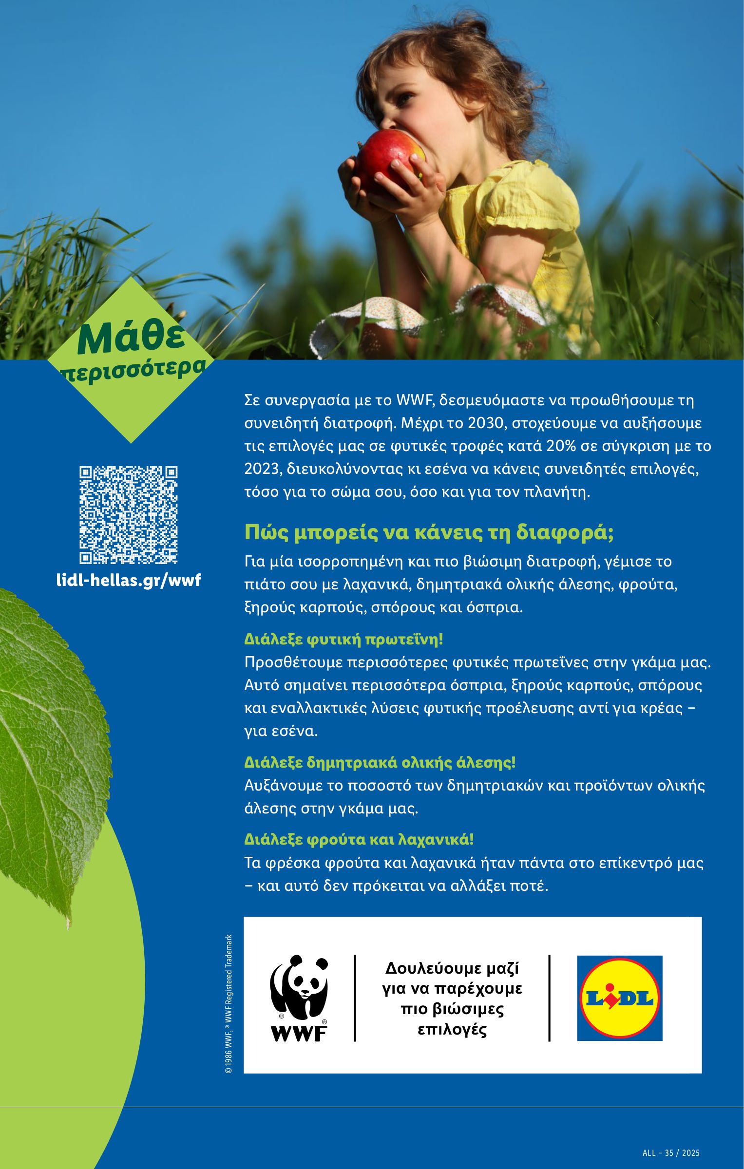 lidl - Lidl φυλλάδιο έγκυρο από 28/08 - 03/09 - page: 21 lidl - Lidl φυλλάδιο έγκυρο από 28/08 - 03/09 - page: 21