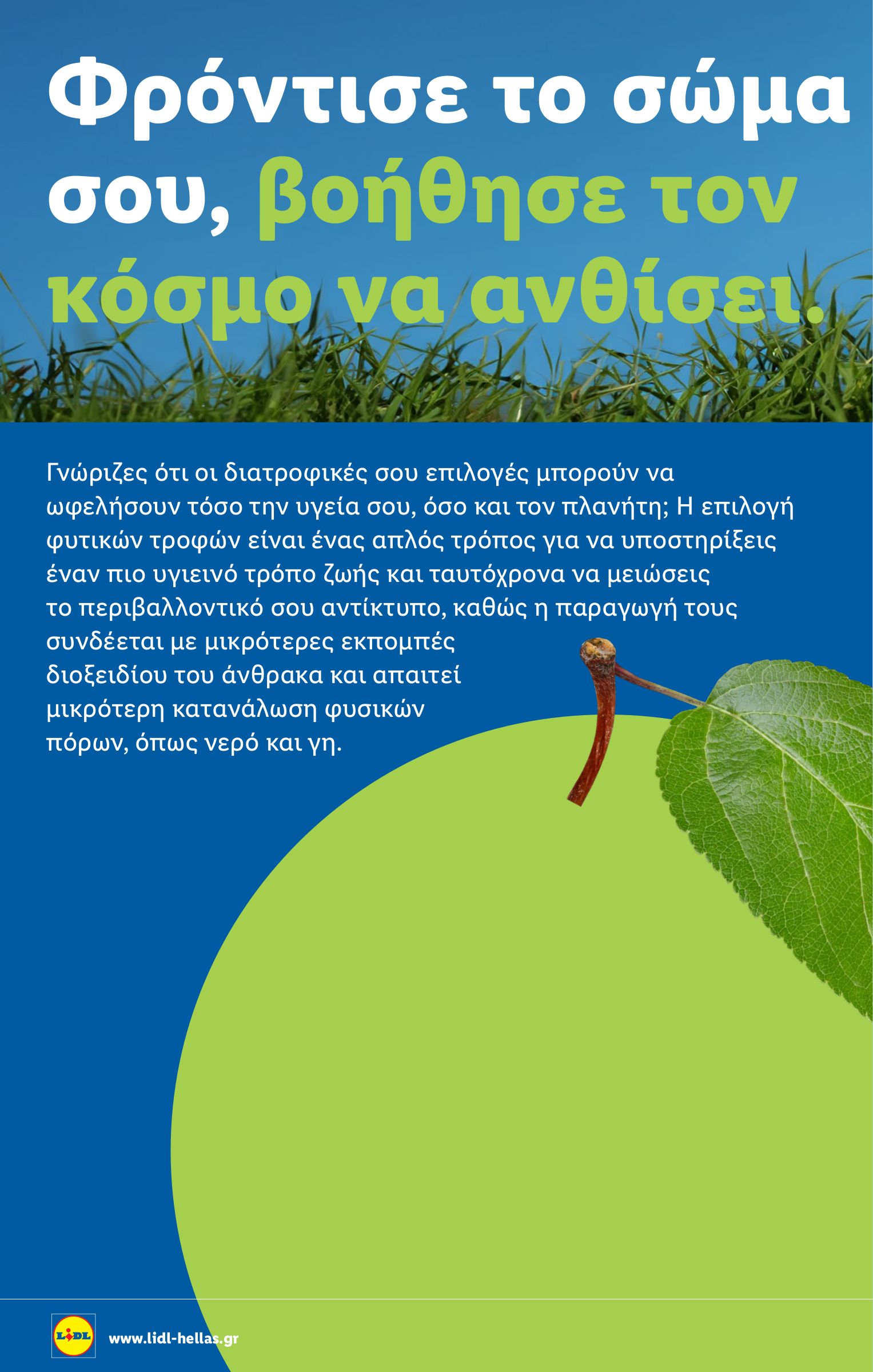 lidl - Lidl φυλλάδιο έγκυρο από 28/08 - 03/09 - page: 20 lidl - Lidl φυλλάδιο έγκυρο από 28/08 - 03/09 - page: 20