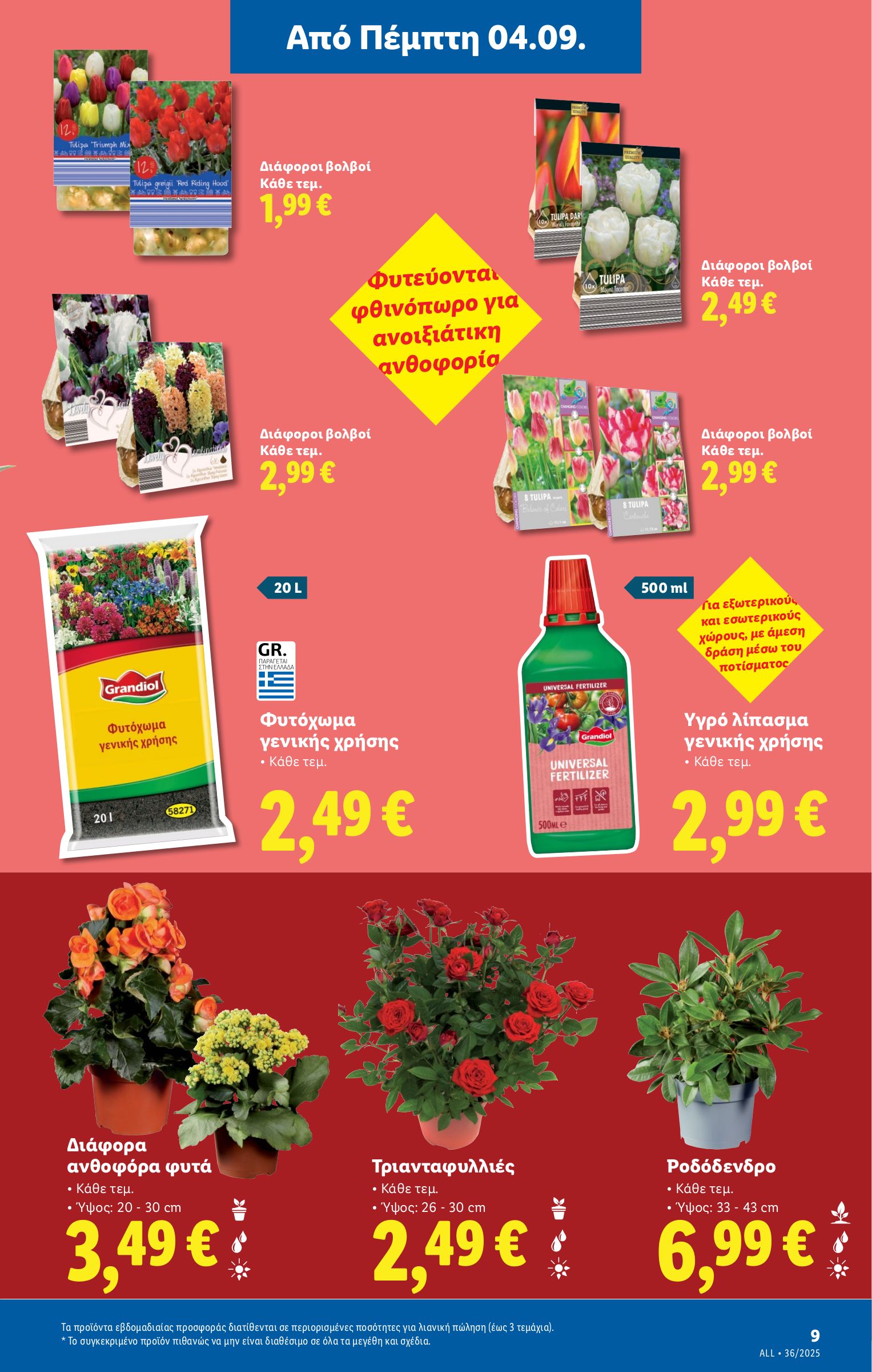lidl - Lidl φυλλάδιο έγκυρο από 04/09 - 10/09 - page: 39