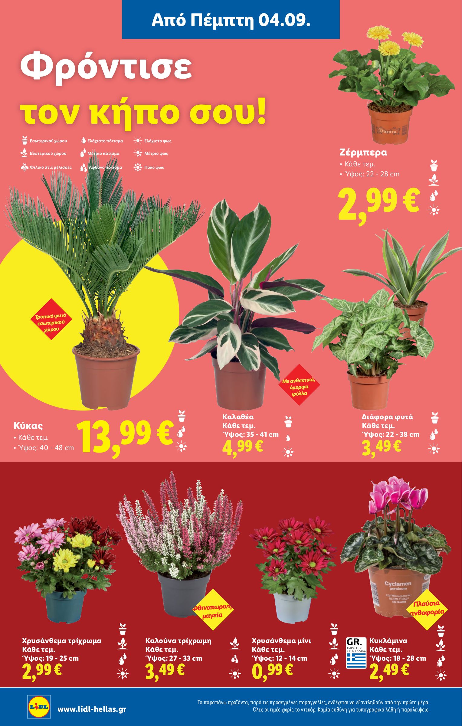 lidl - Lidl φυλλάδιο έγκυρο από 04/09 - 10/09 - page: 38