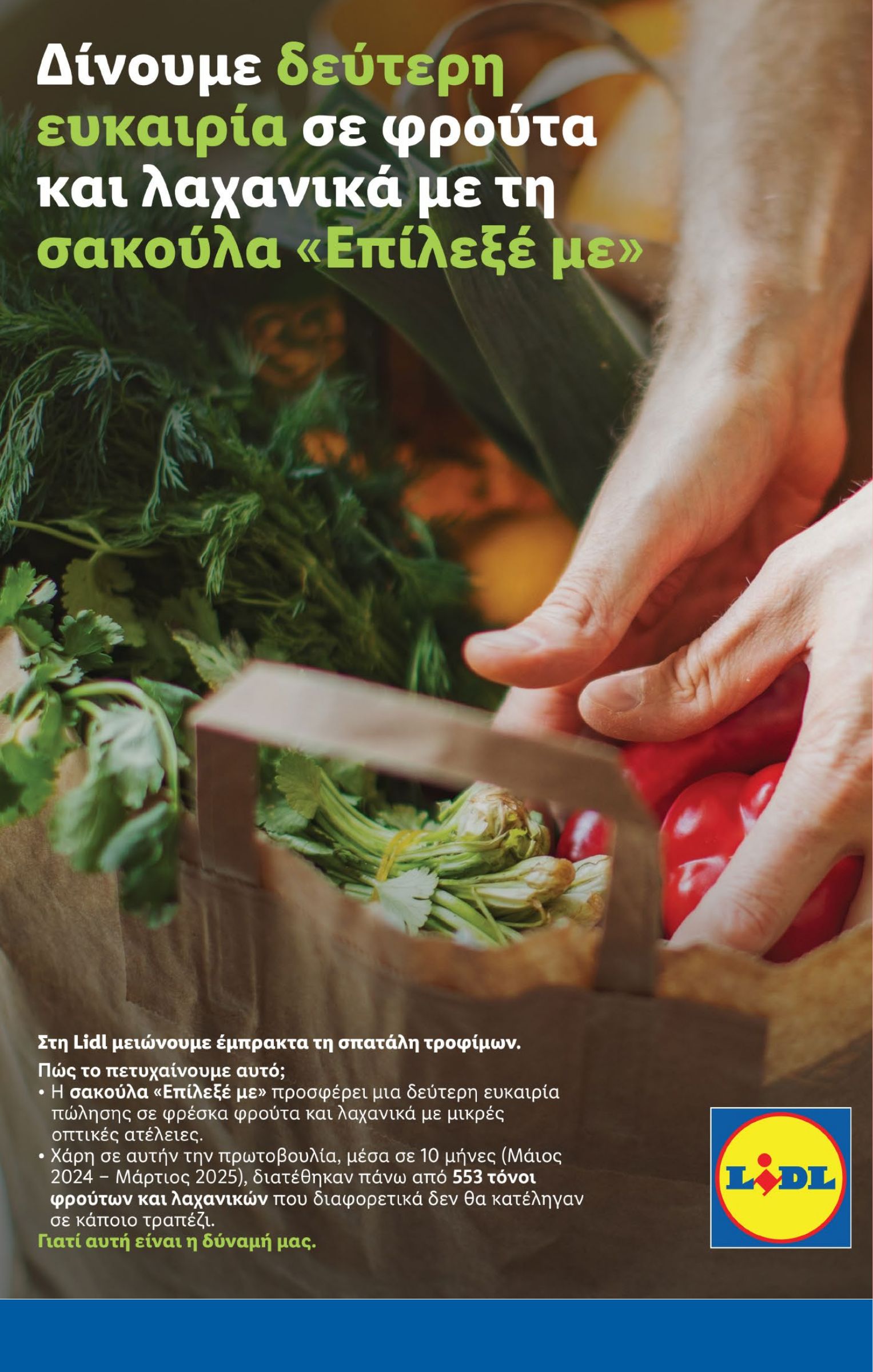 lidl - Lidl φυλλάδιο έγκυρο από 11/09 - 17/09 - page: 17
