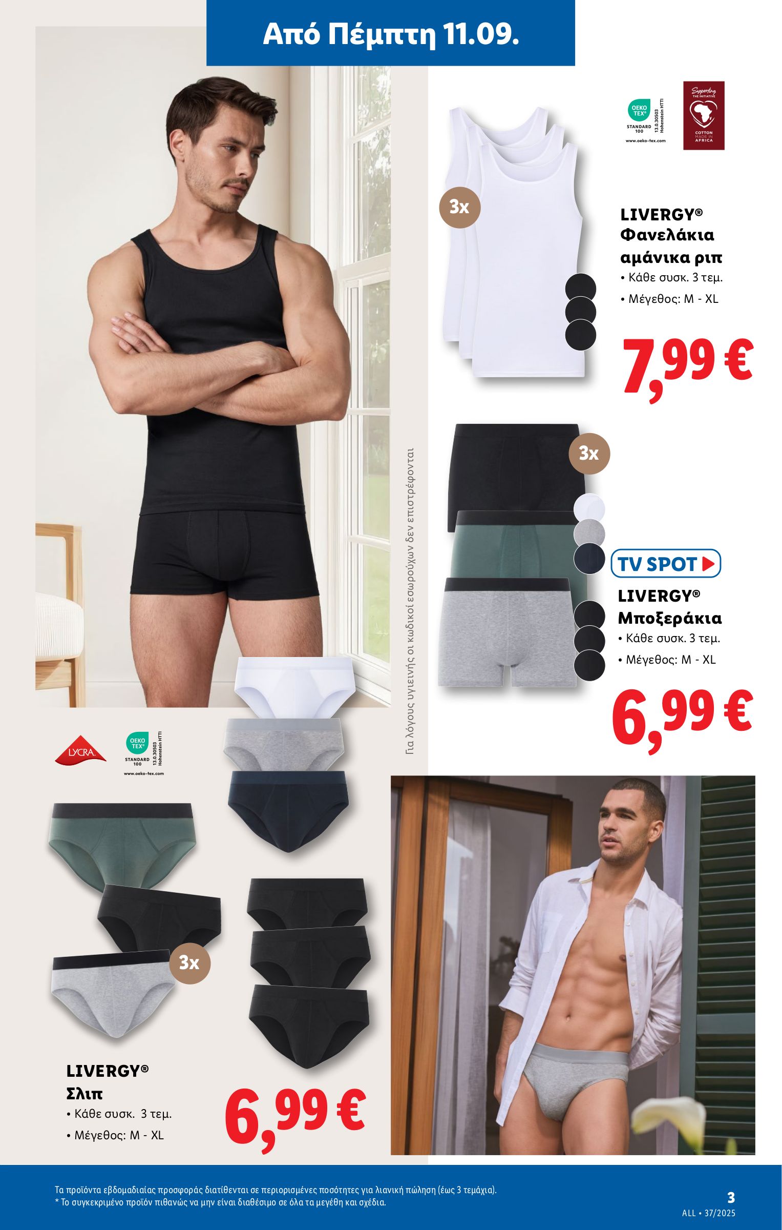 lidl - Lidl φυλλάδιο έγκυρο από 11/09 - 17/09 - page: 31