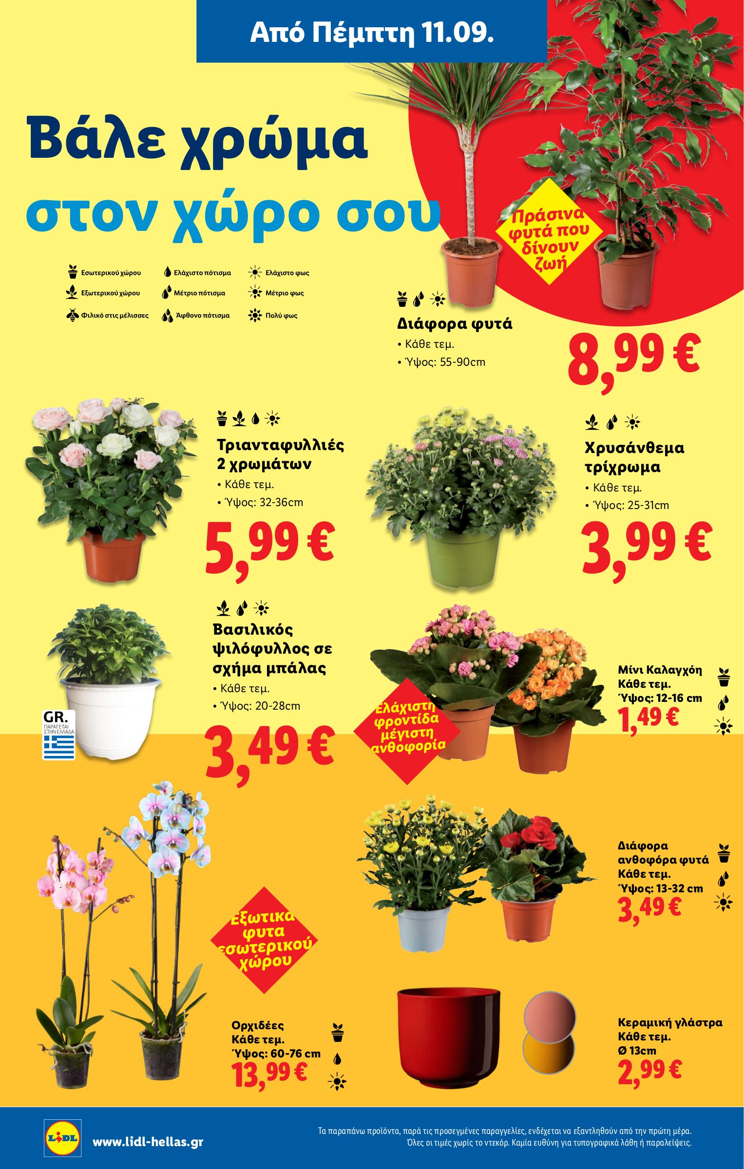 lidl - Lidl φυλλάδιο έγκυρο από 11/09 - 17/09 - page: 40
