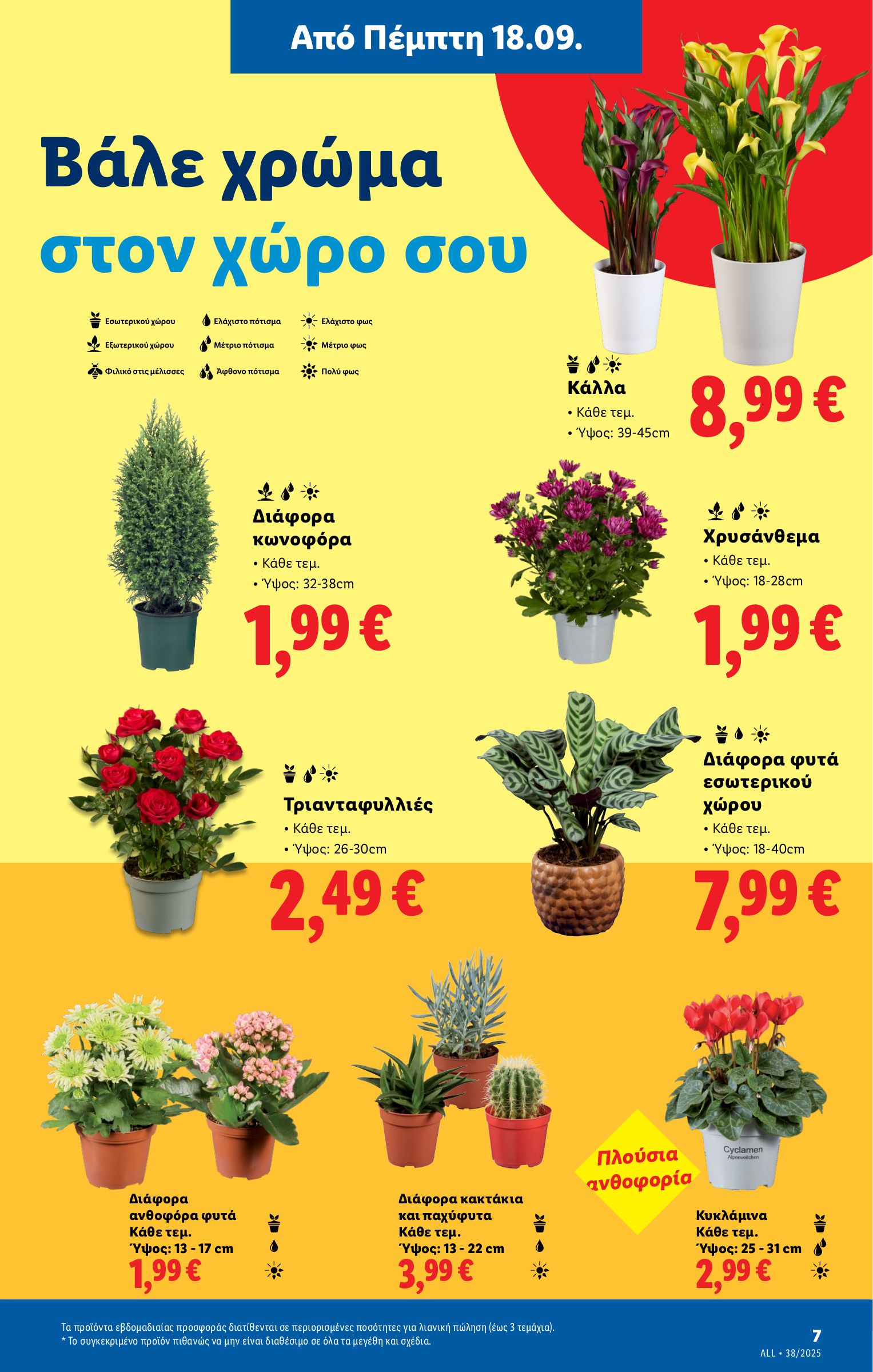 lidl - Lidl φυλλάδιο έγκυρο από 18/09 - 24/09 - page: 37