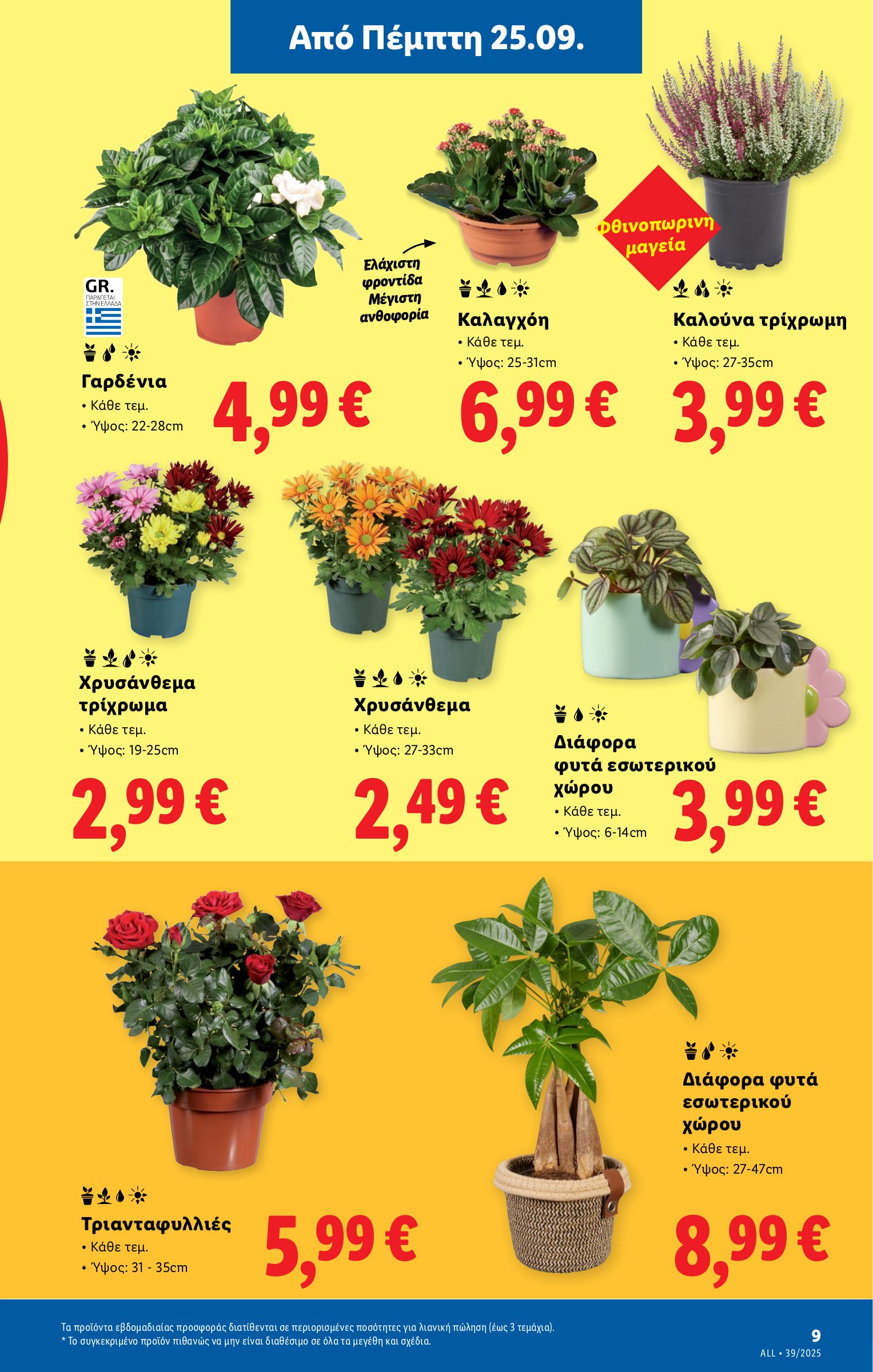 lidl - Lidl φυλλάδιο έγκυρο από 25/09 - 01/10 - page: 37