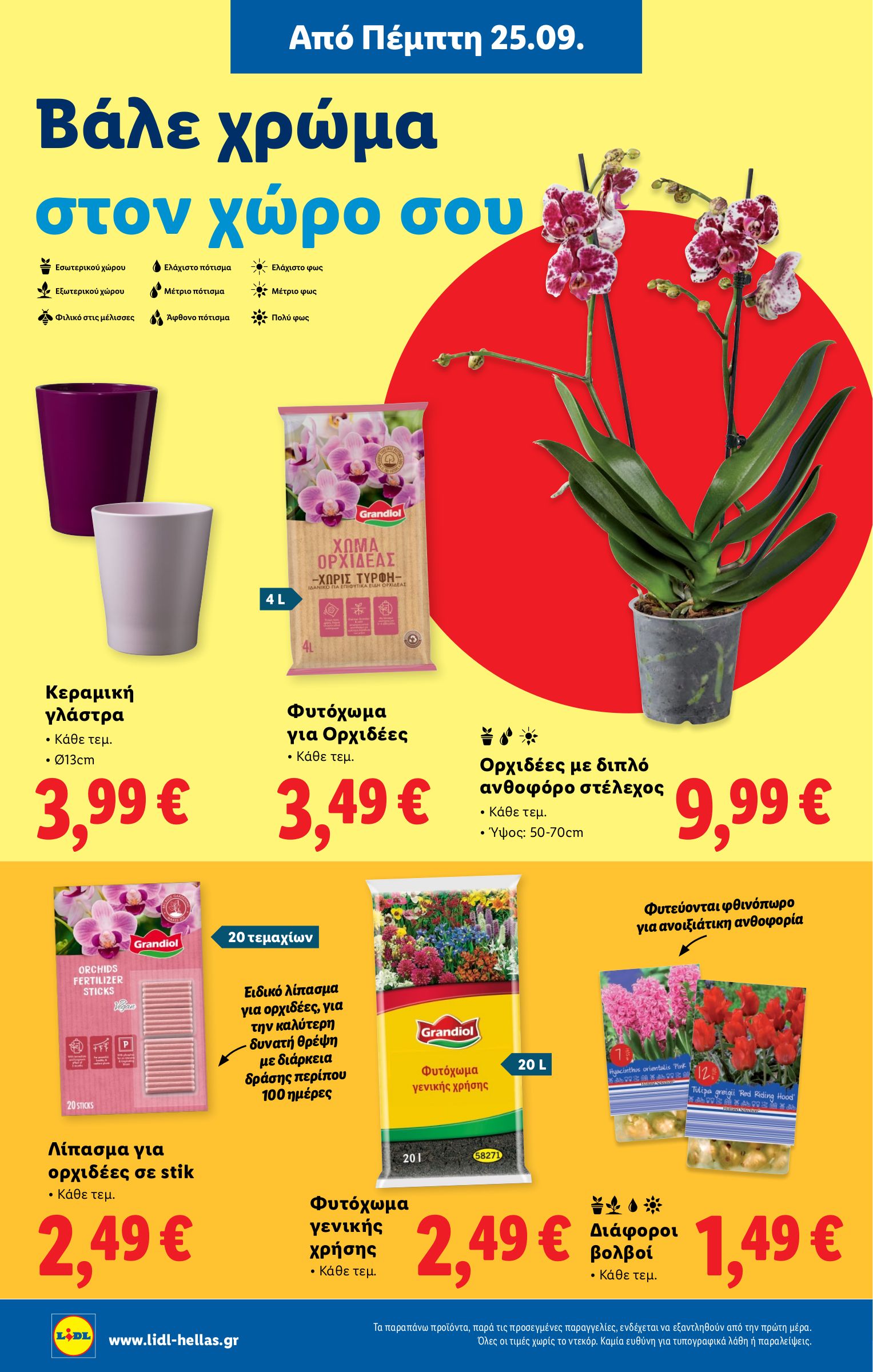 lidl - Lidl φυλλάδιο έγκυρο από 25/09 - 01/10 - page: 36