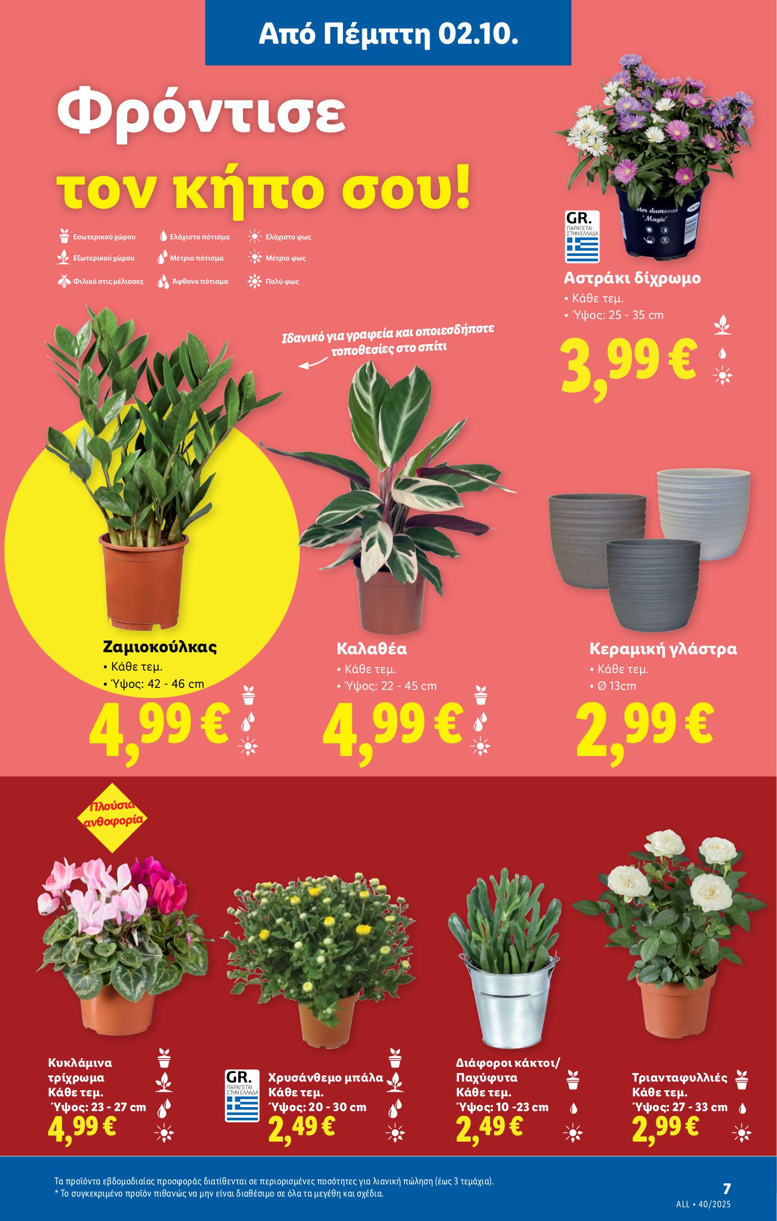 lidl - Lidl φυλλάδιο έγκυρο από 02/10 - 08/10 - page: 35