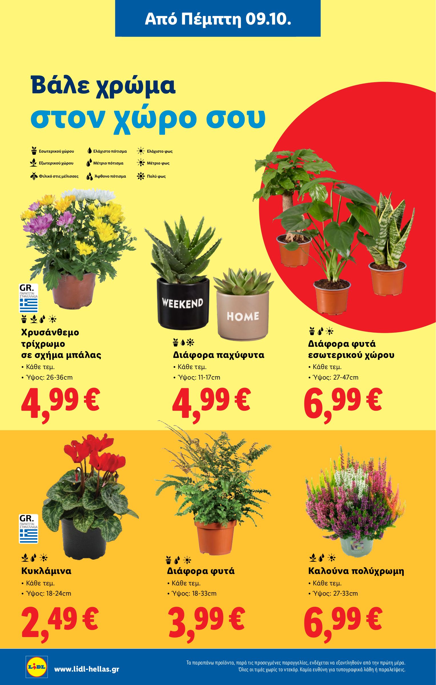 lidl - Lidl φυλλάδιο έγκυρο από 09/10 - 15/10 - page: 40