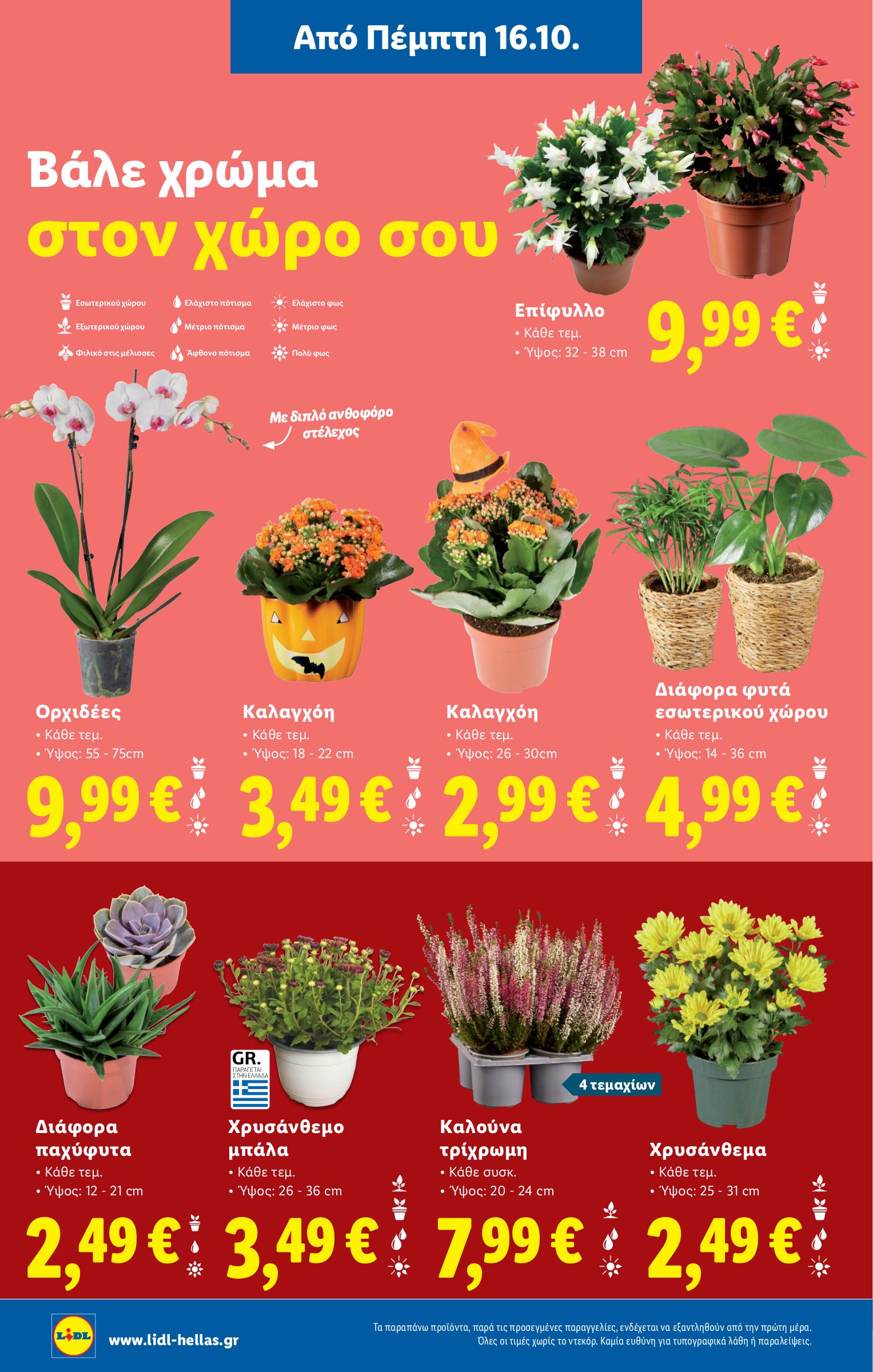 lidl - Lidl φυλλάδιο έγκυρο από 16/10 - 22/10 - page: 36 lidl - Lidl φυλλάδιο έγκυρο από 16/10 - 22/10 - page: 36