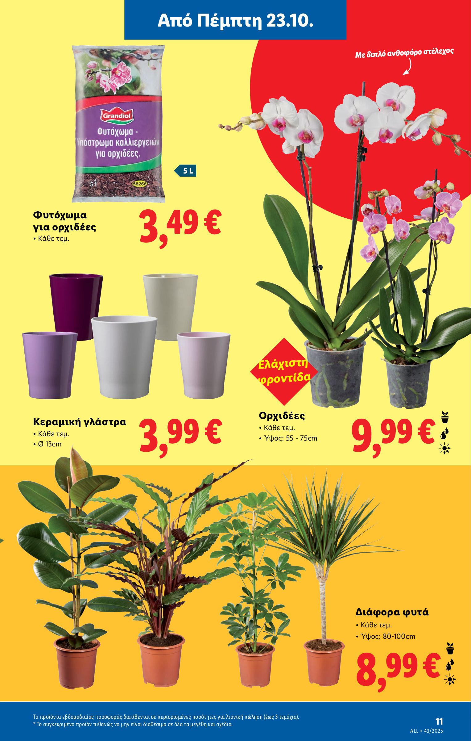 lidl - Lidl φυλλάδιο έγκυρο από 23/10 - 29/10 - page: 37 lidl - Lidl φυλλάδιο έγκυρο από 23/10 - 29/10 - page: 37