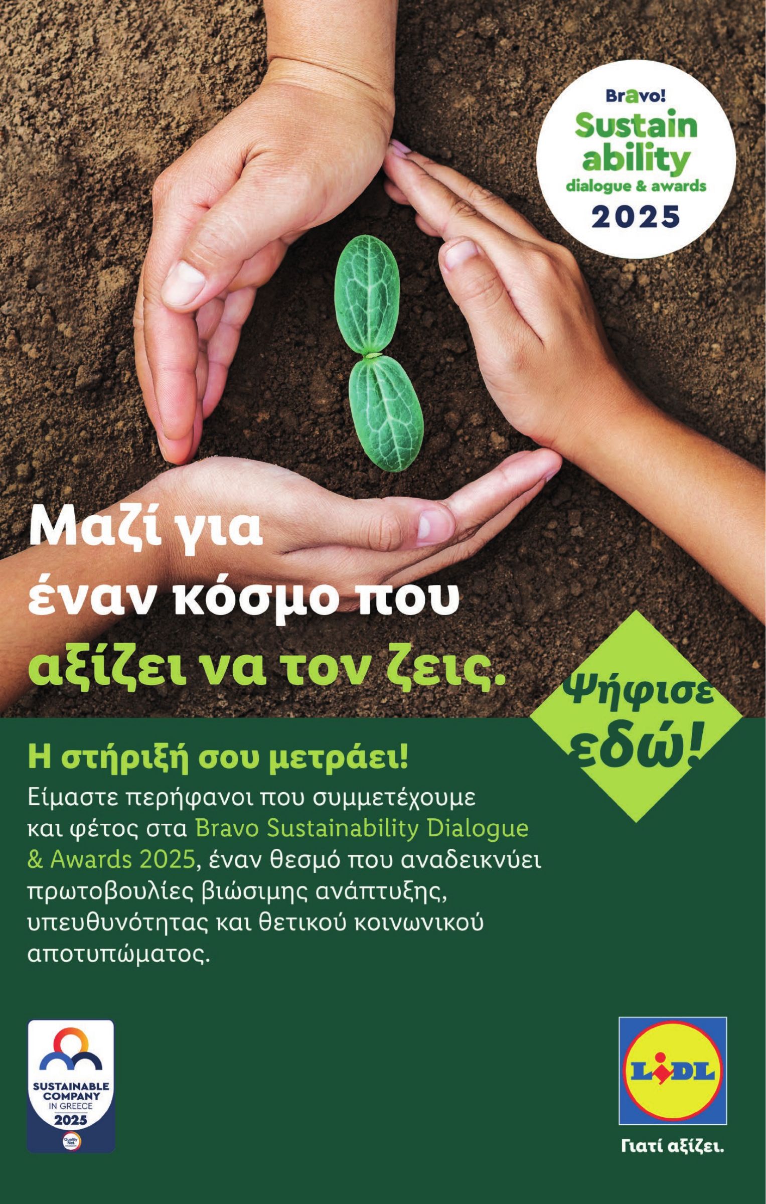 lidl - Lidl φυλλάδιο έγκυρο από 06/11 - 12/11 - page: 62