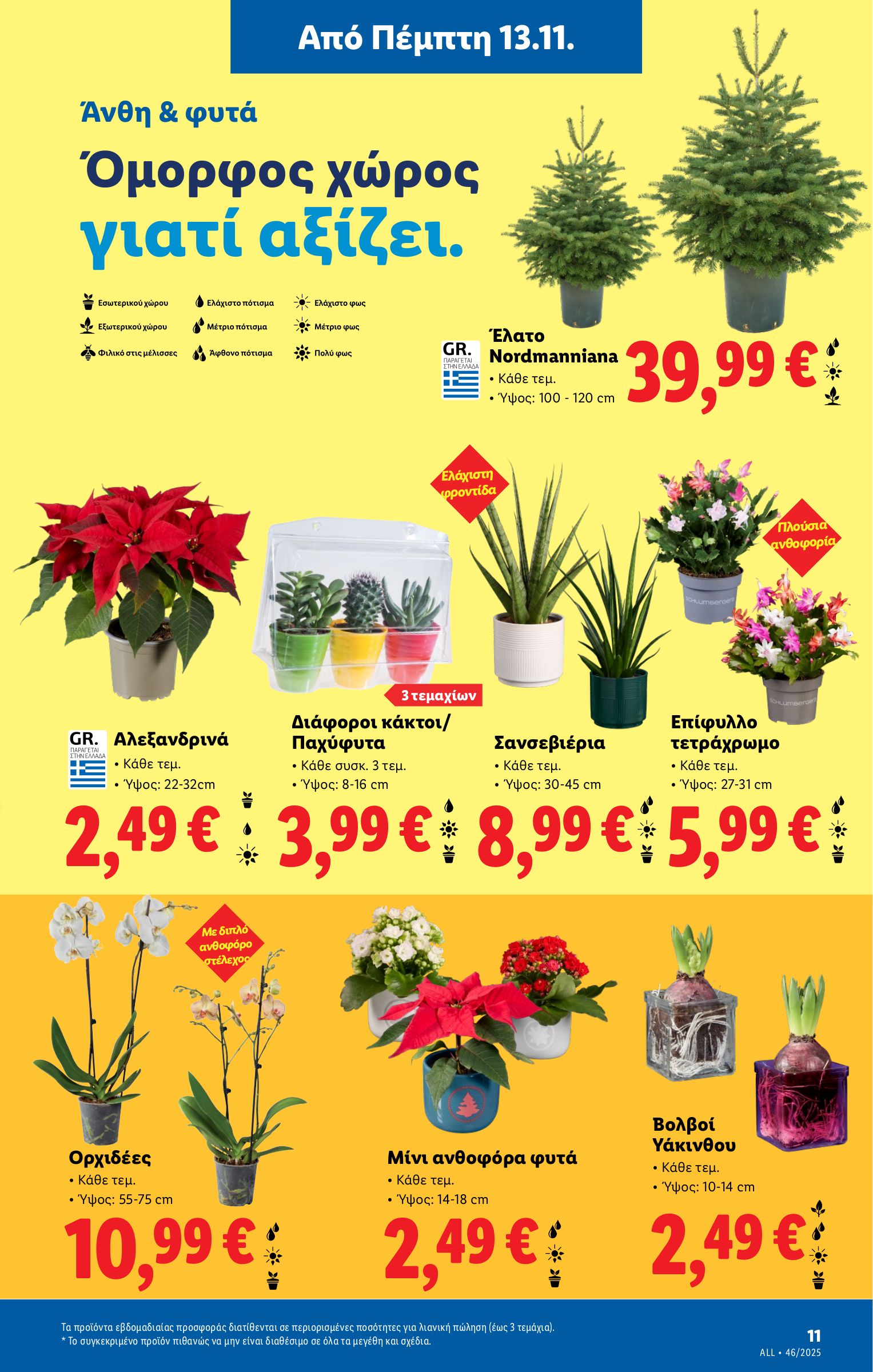 lidl - Lidl φυλλάδιο έγκυρο από 13/11 - 19/11 - page: 35