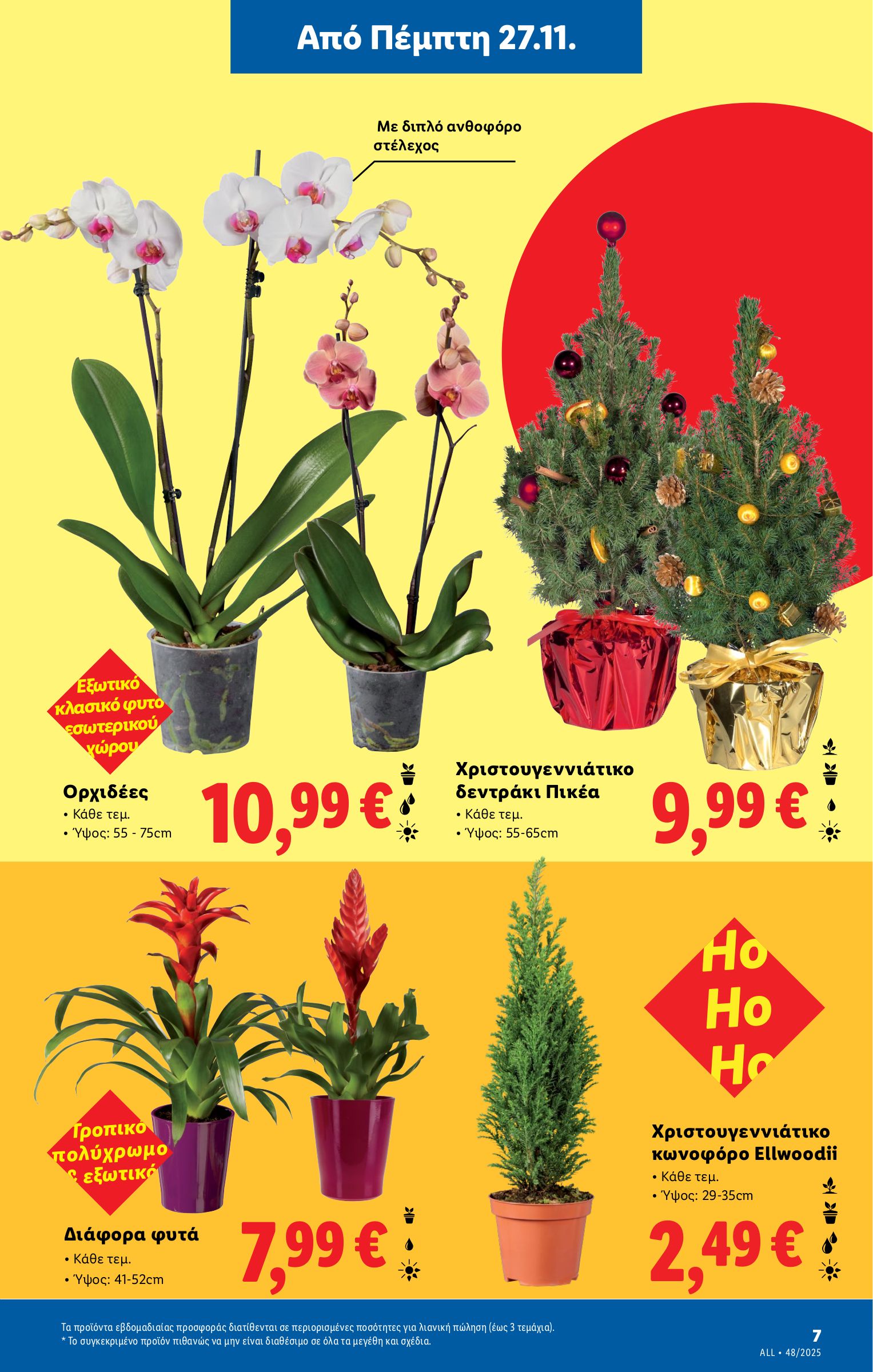 lidl - Lidl φυλλάδιο έγκυρο από 27/11 - 03/12 - page: 37