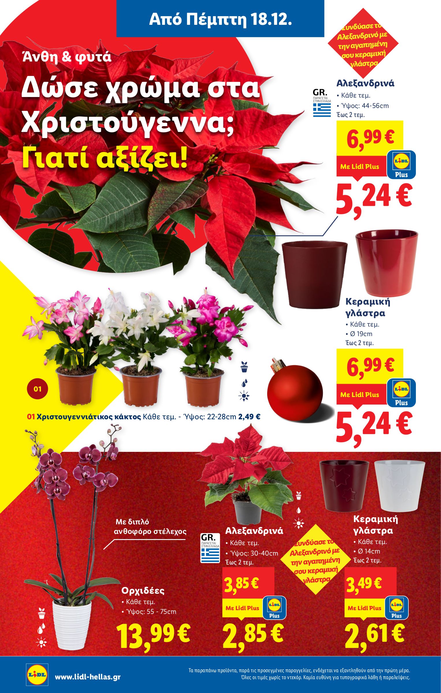 lidl - Lidl φυλλάδιο έγκυρο από 18/12 - 24/12 - page: 40