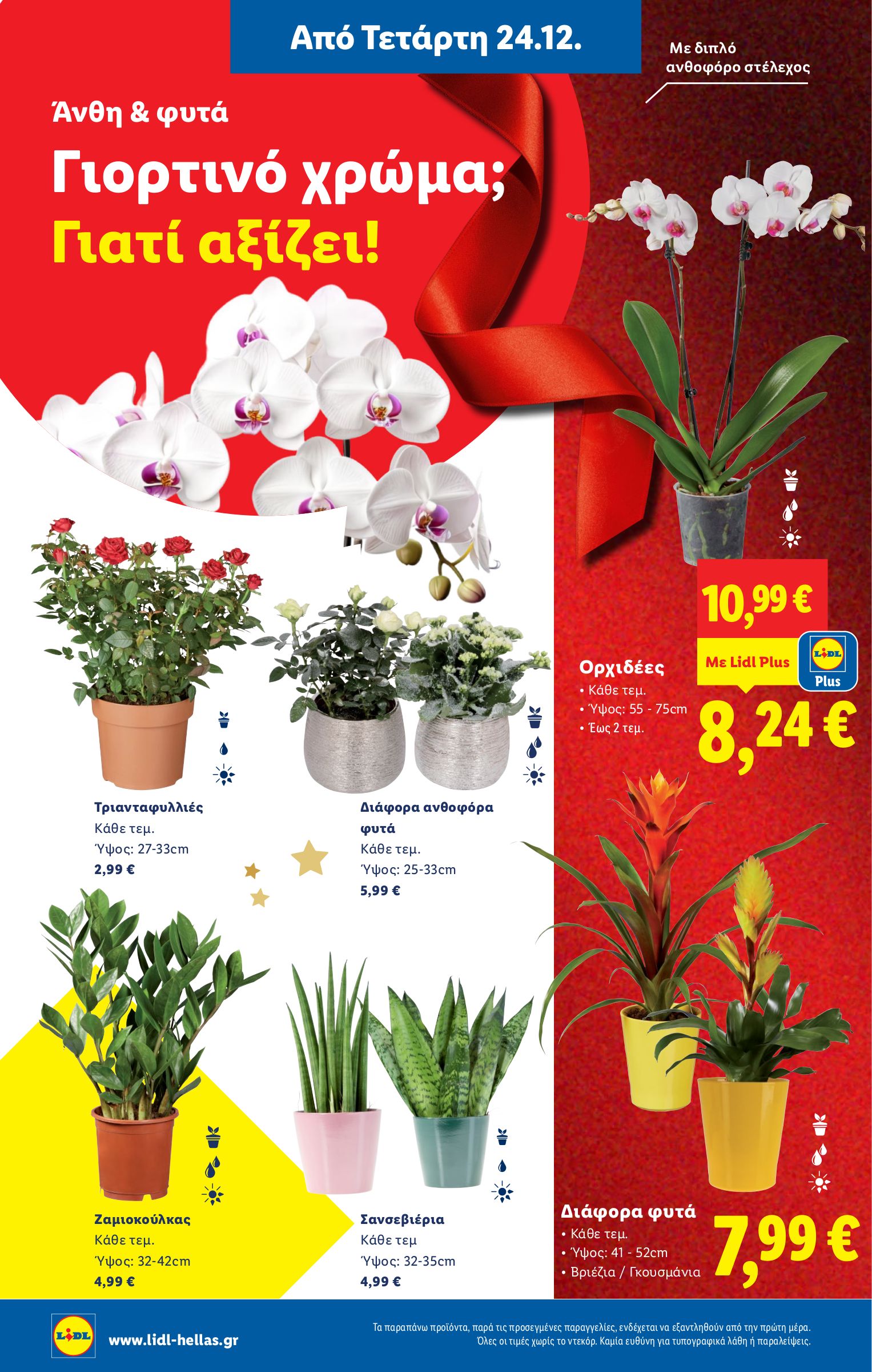 lidl - Lidl φυλλάδιο έγκυρο από 24/12 - 31/12 - page: 40