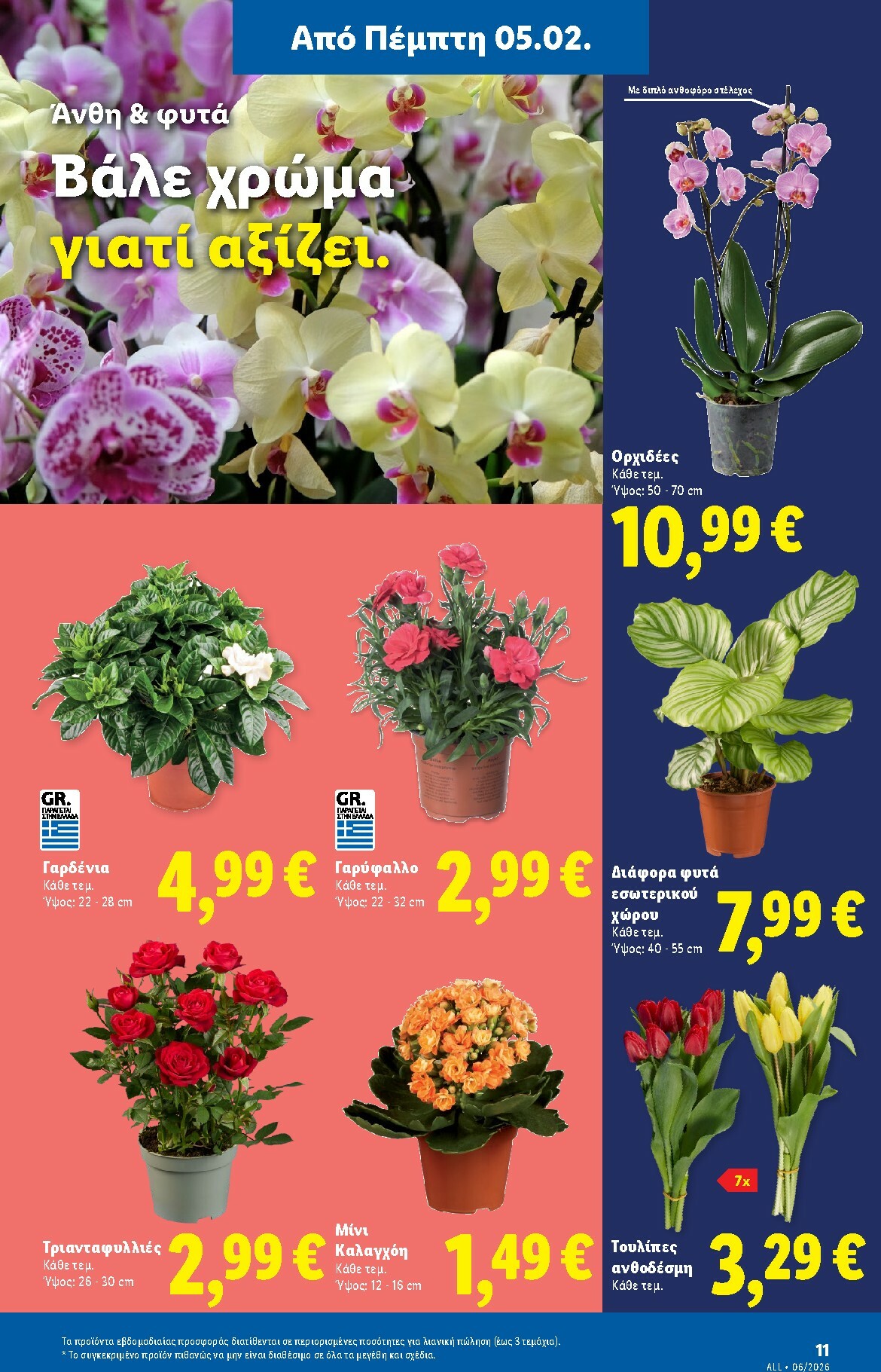 lidl - Lidl φυλλάδιο έγκυρο από 05/02/2026 - 11/02/2026 - page: 39