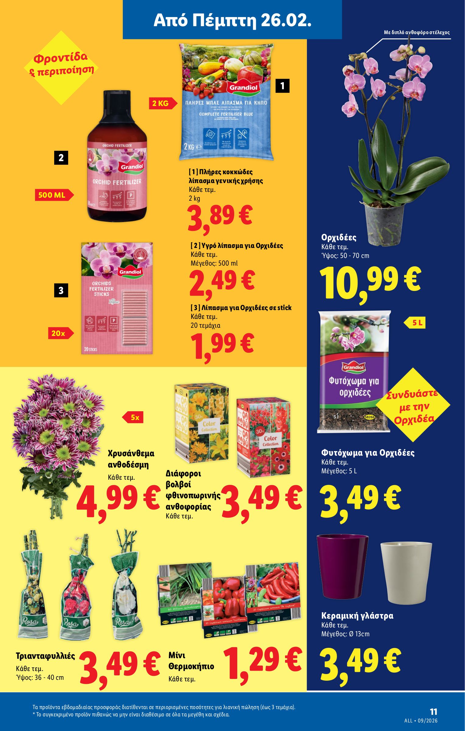 lidl - Lidl φυλλάδιο έγκυρο από 26/02/2026 - 04/03/2026 - page: 65
