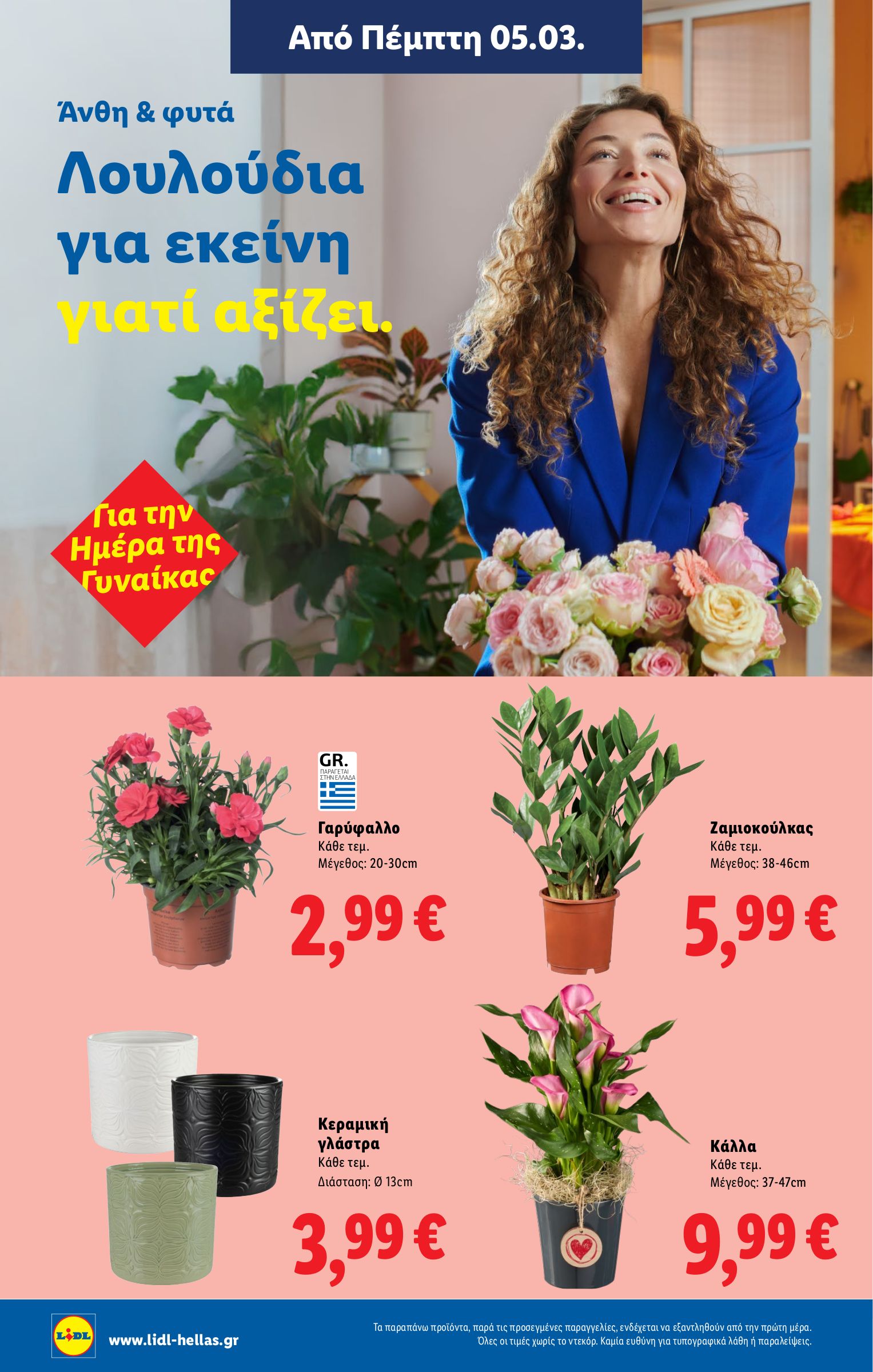 lidl - Lidl φυλλάδιο έγκυρο από 05/03/2026 - 11/03/2026 - page: 66