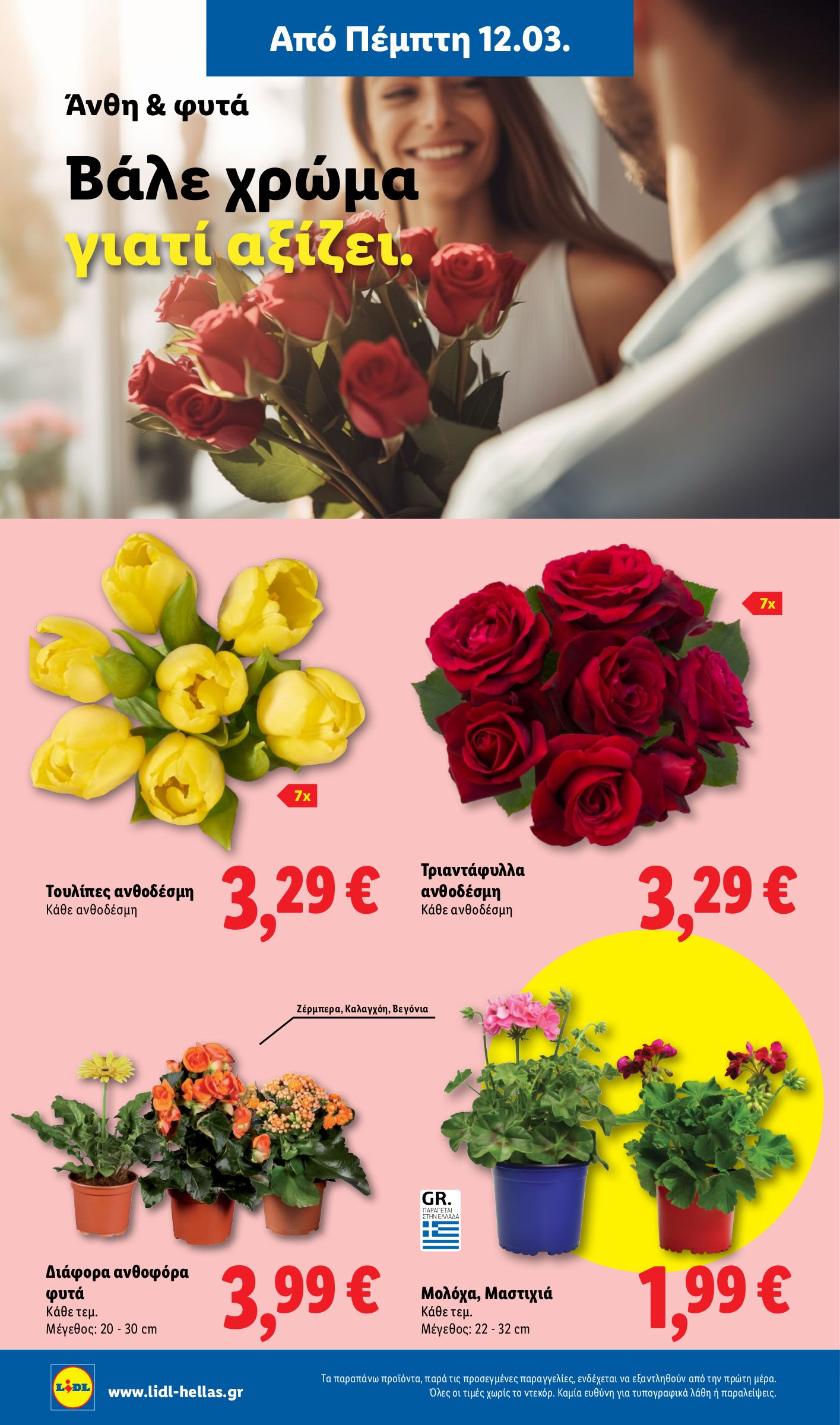 lidl - Lidl φυλλάδιο έγκυρο από 12/03/2026 - 18/03/2026 - page: 60